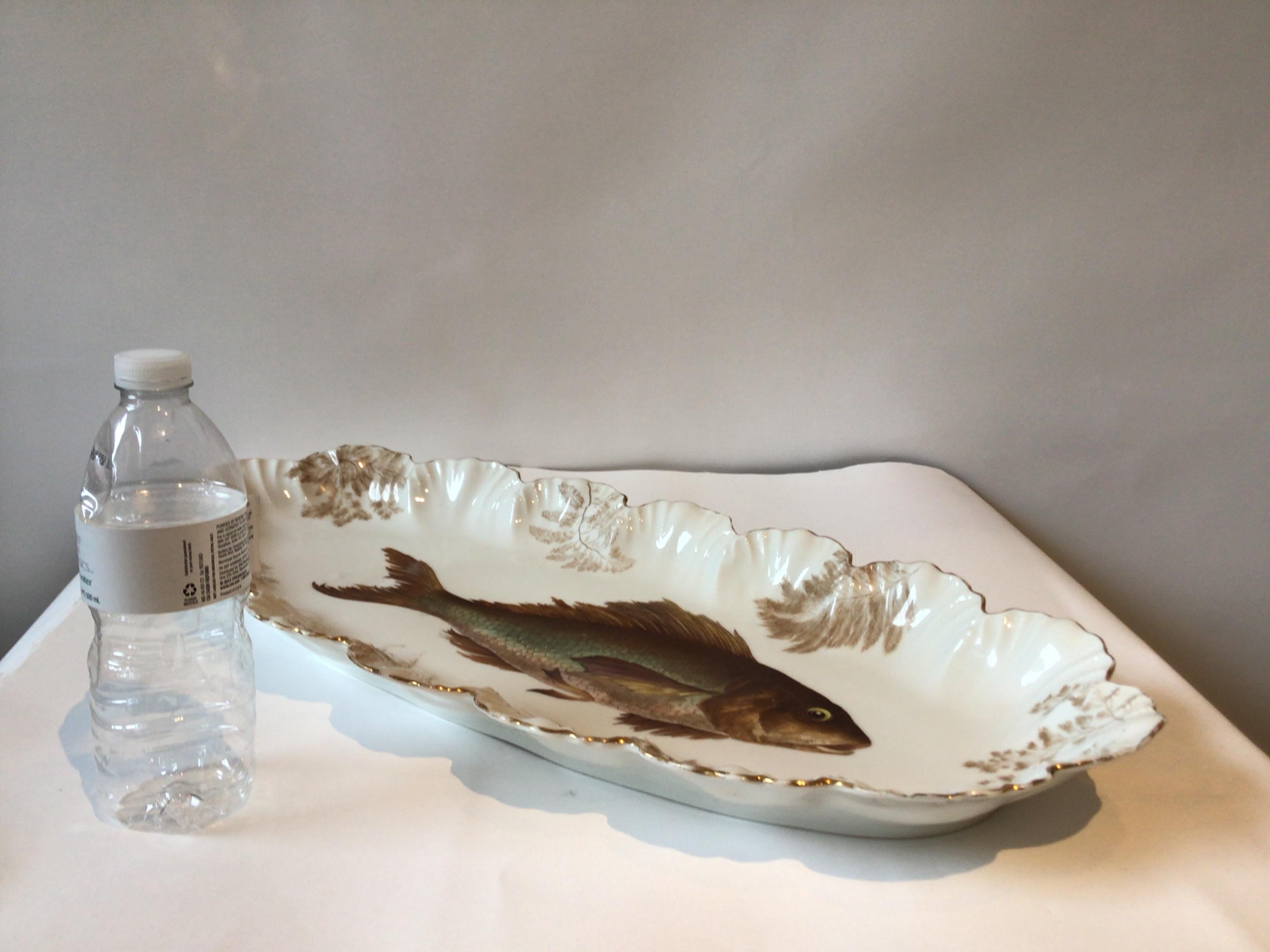 Mid-19th Century 1860s Davis Collamore Fish Platter And 12 Plates
