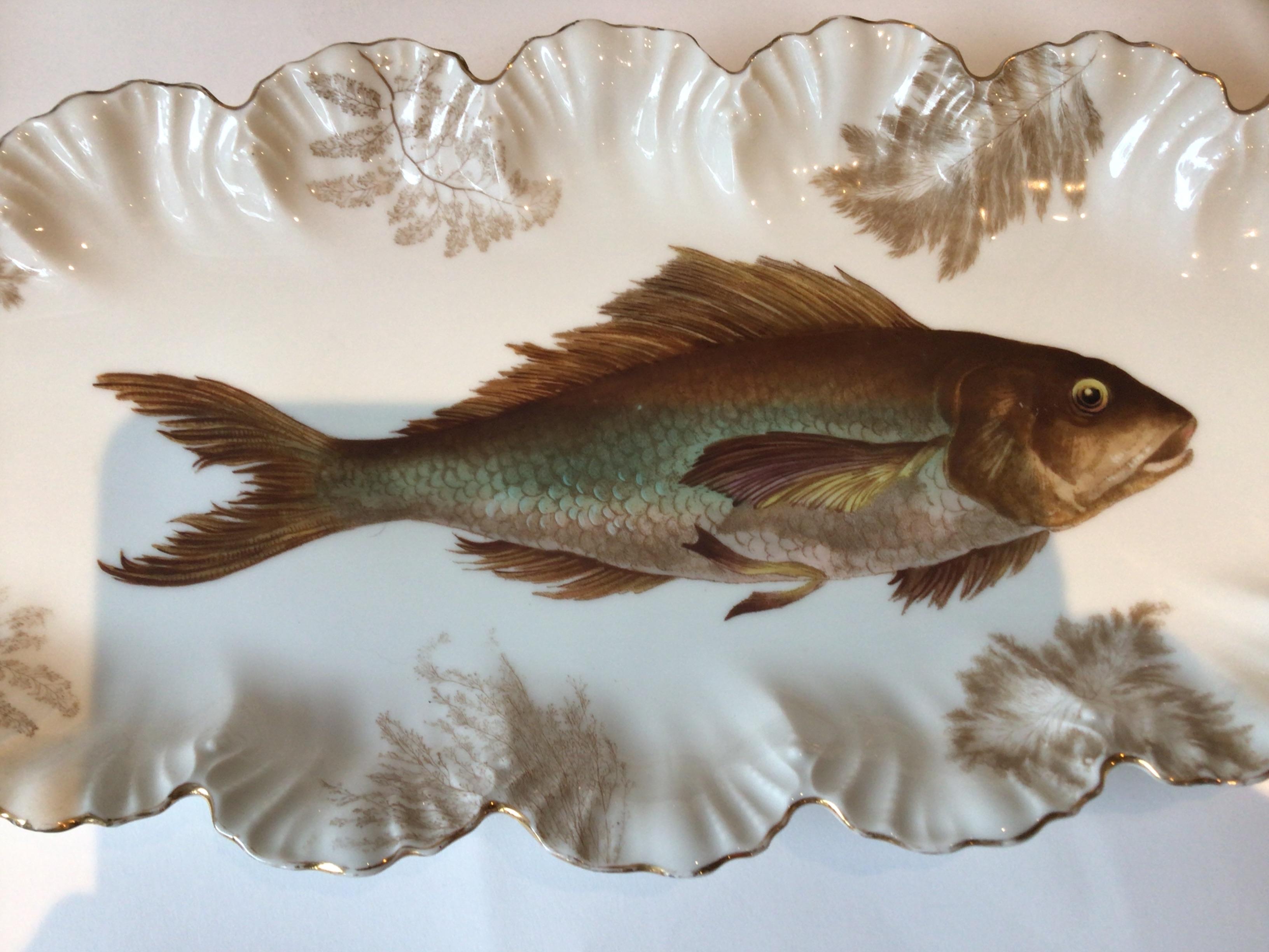 Porcelain 1860s Davis Collamore Fish Platter And 12 Plates
