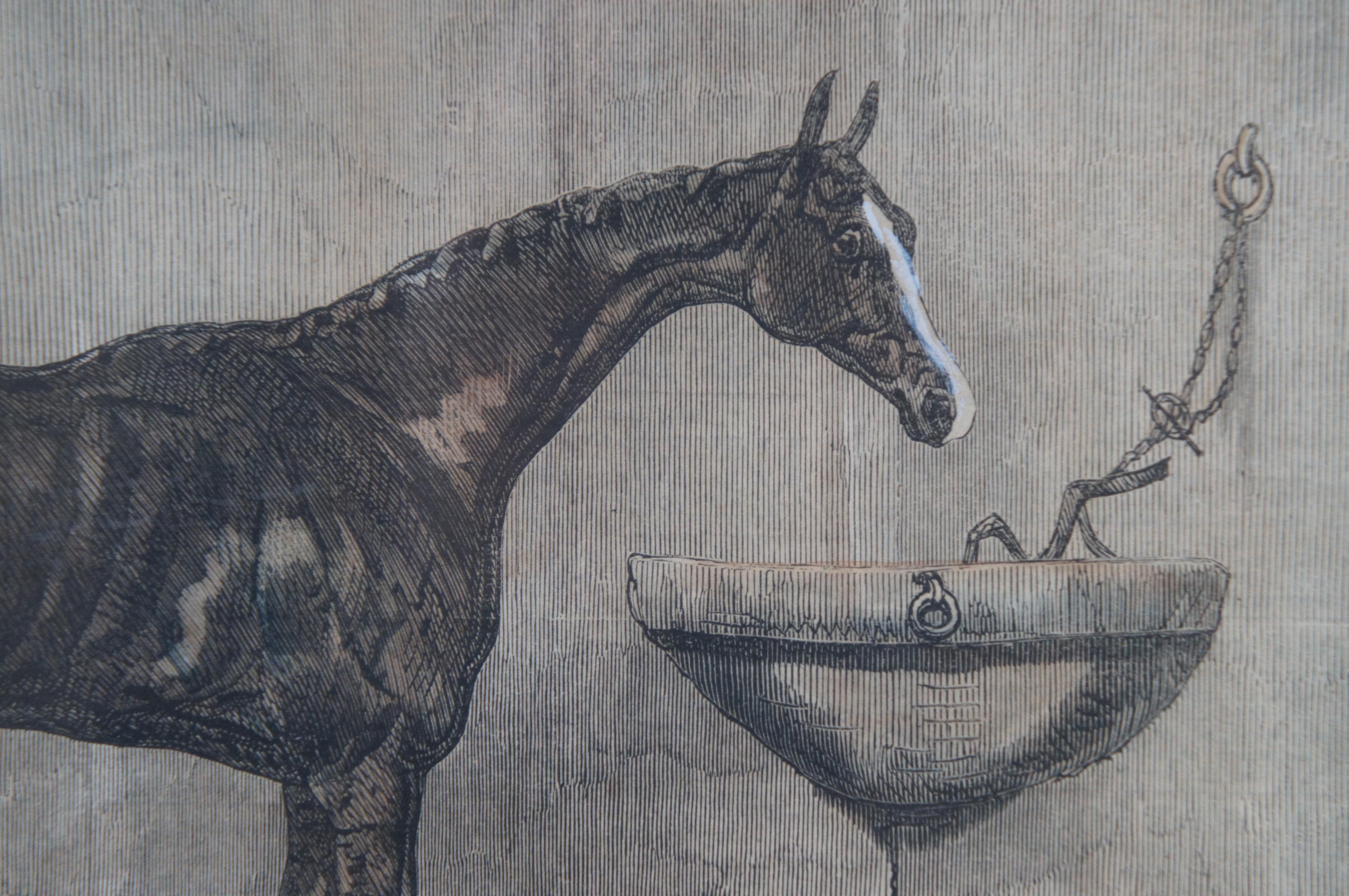 1860s Feu de Joie Winner of Oakes Hand Colored Engraving Harry Hall Racing Horse 4