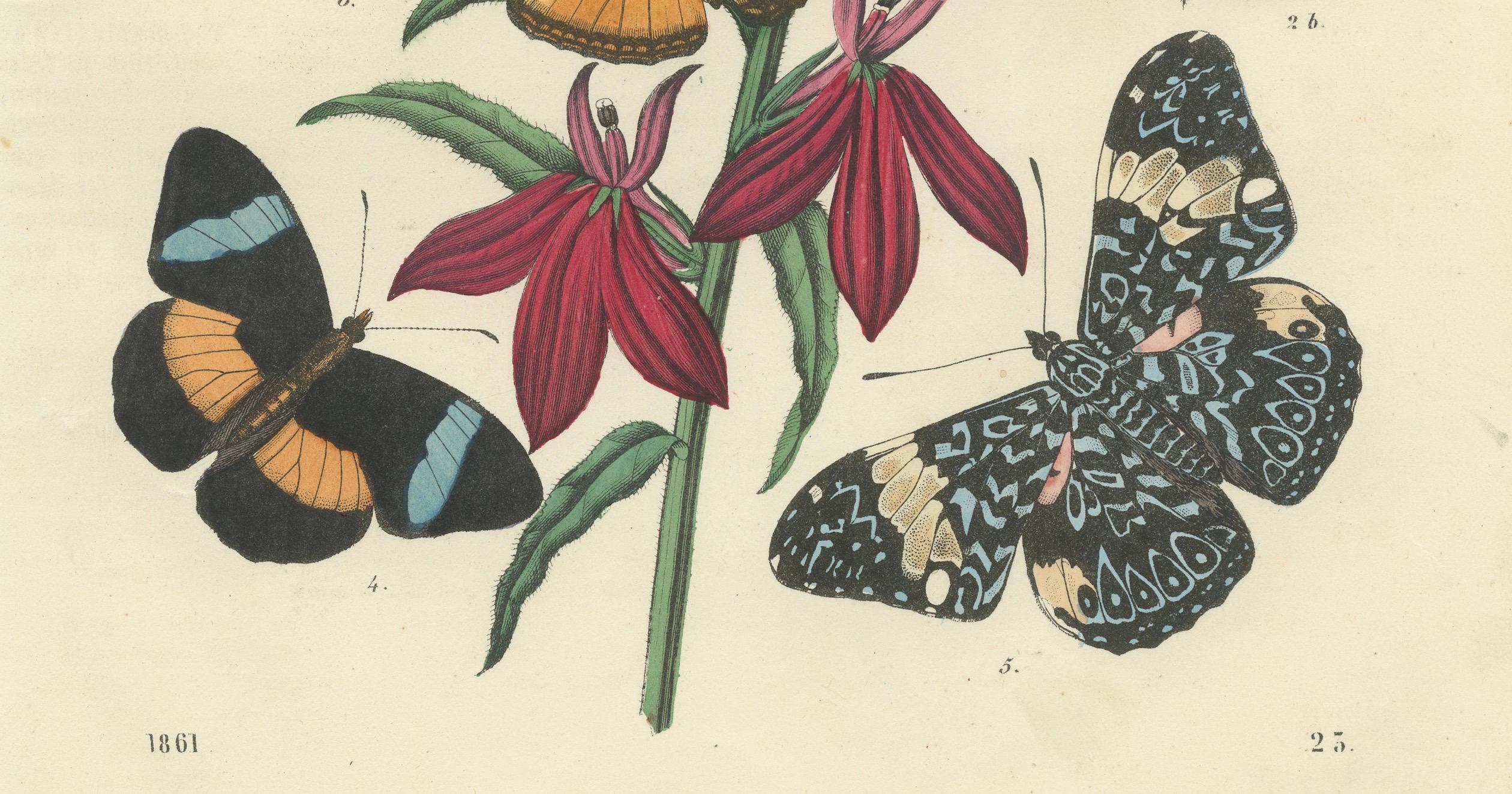 1861 Handkolorierte Lithographie von Schmetterlingen und botanischen Blumen (Mittleres 19. Jahrhundert) im Angebot