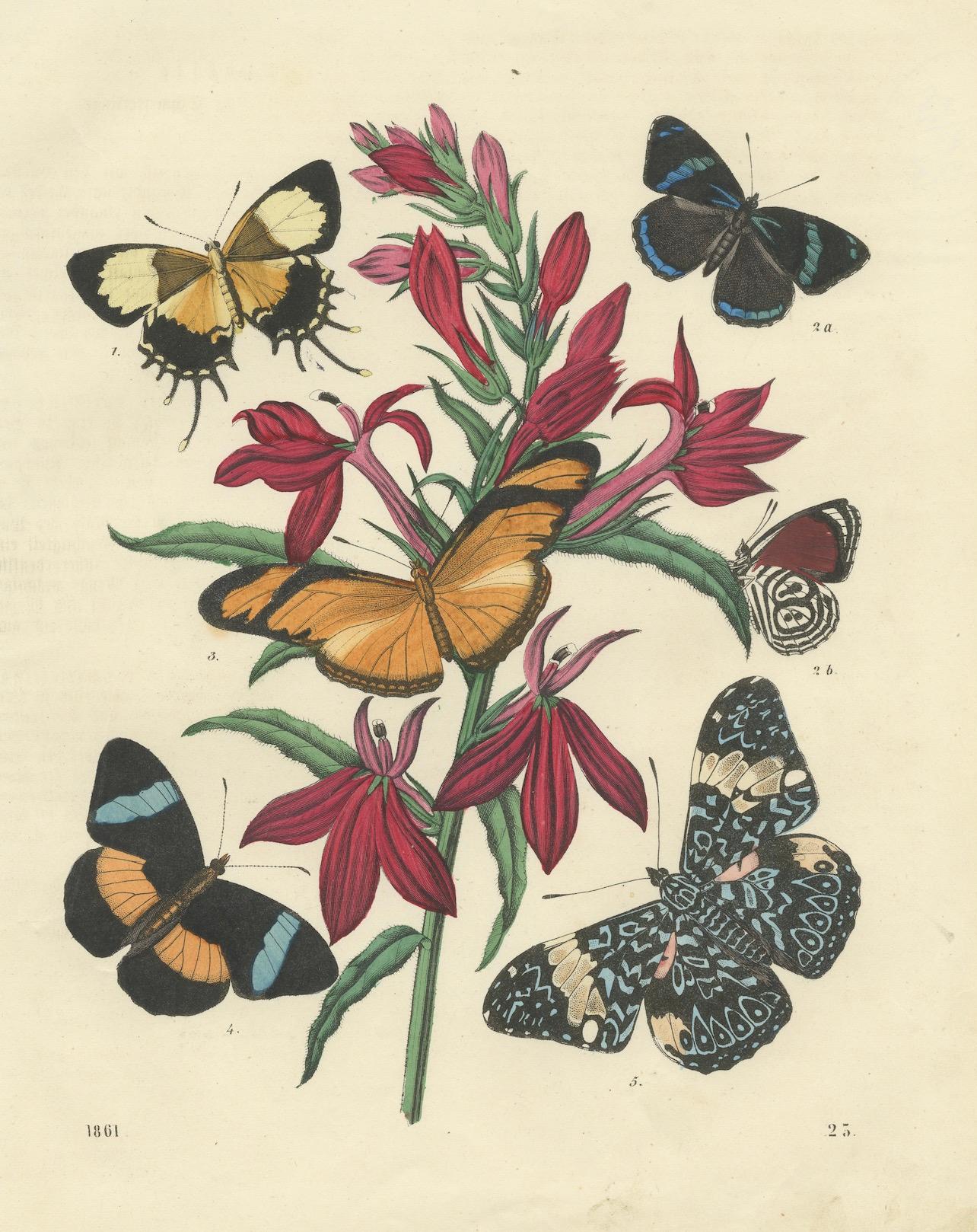 1861 Handkolorierte Lithographie von Schmetterlingen und botanischen Blumen (Papier) im Angebot
