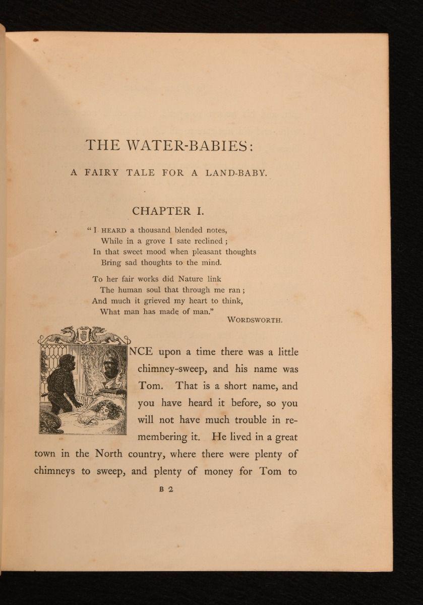 1863 I bambini d'acqua: Una favola per i bambini di Lande In condizioni buone in vendita a Bath, GB