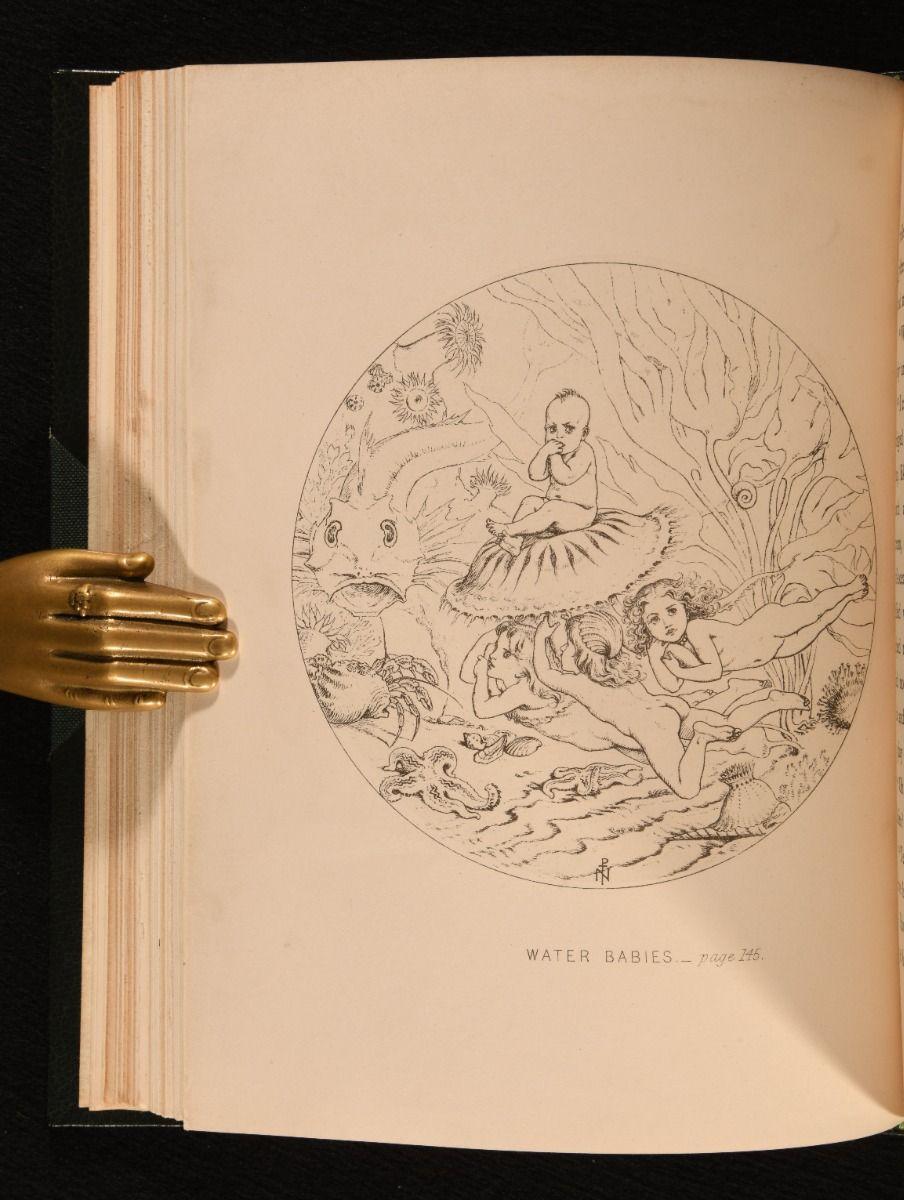 Metà XIX secolo 1863 I bambini d'acqua: Una favola per i bambini di Lande in vendita