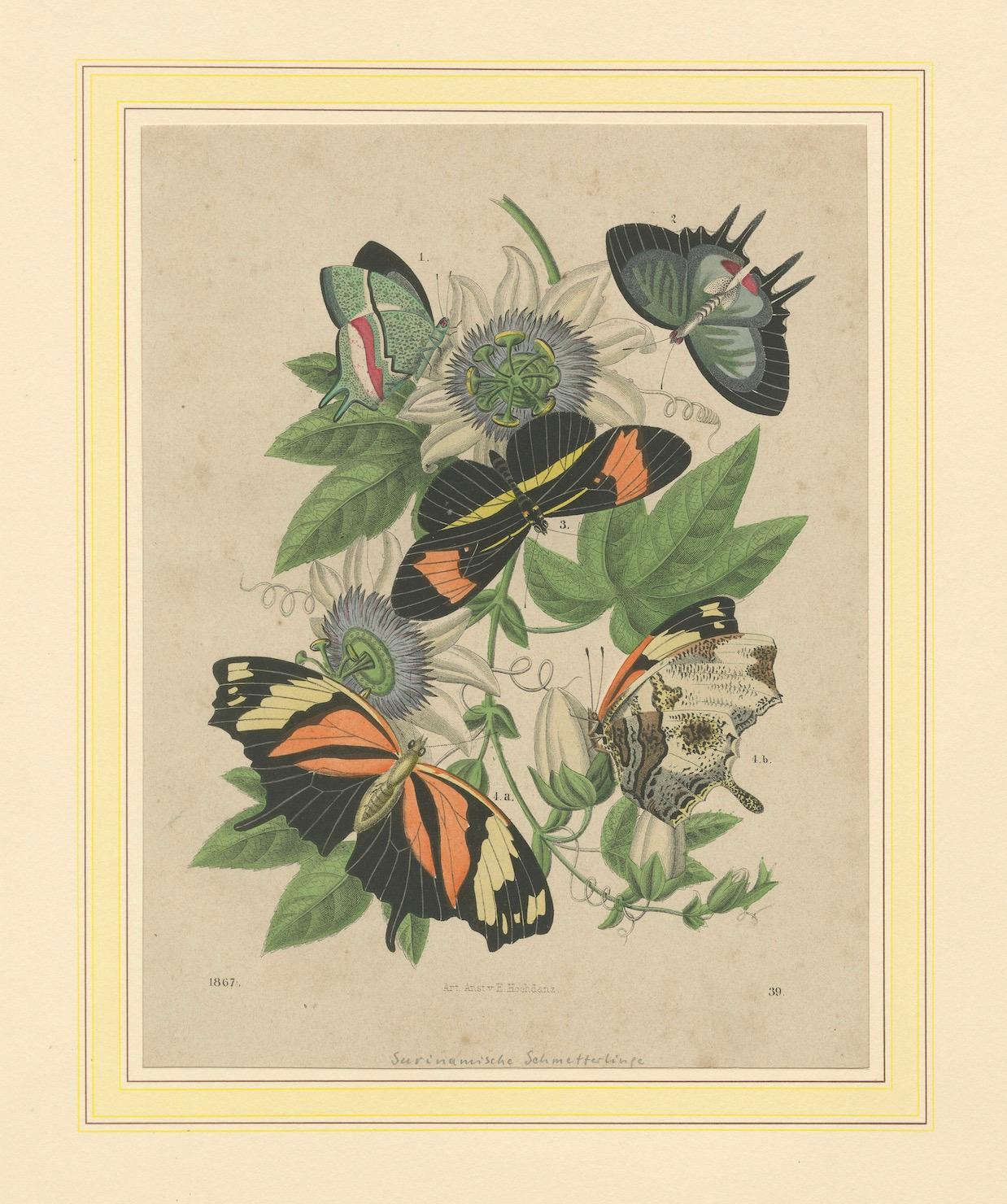 1867 Handkolorierte Lithographie von südamerikanischen Schmetterlingen und Passionsblumen im Angebot 1