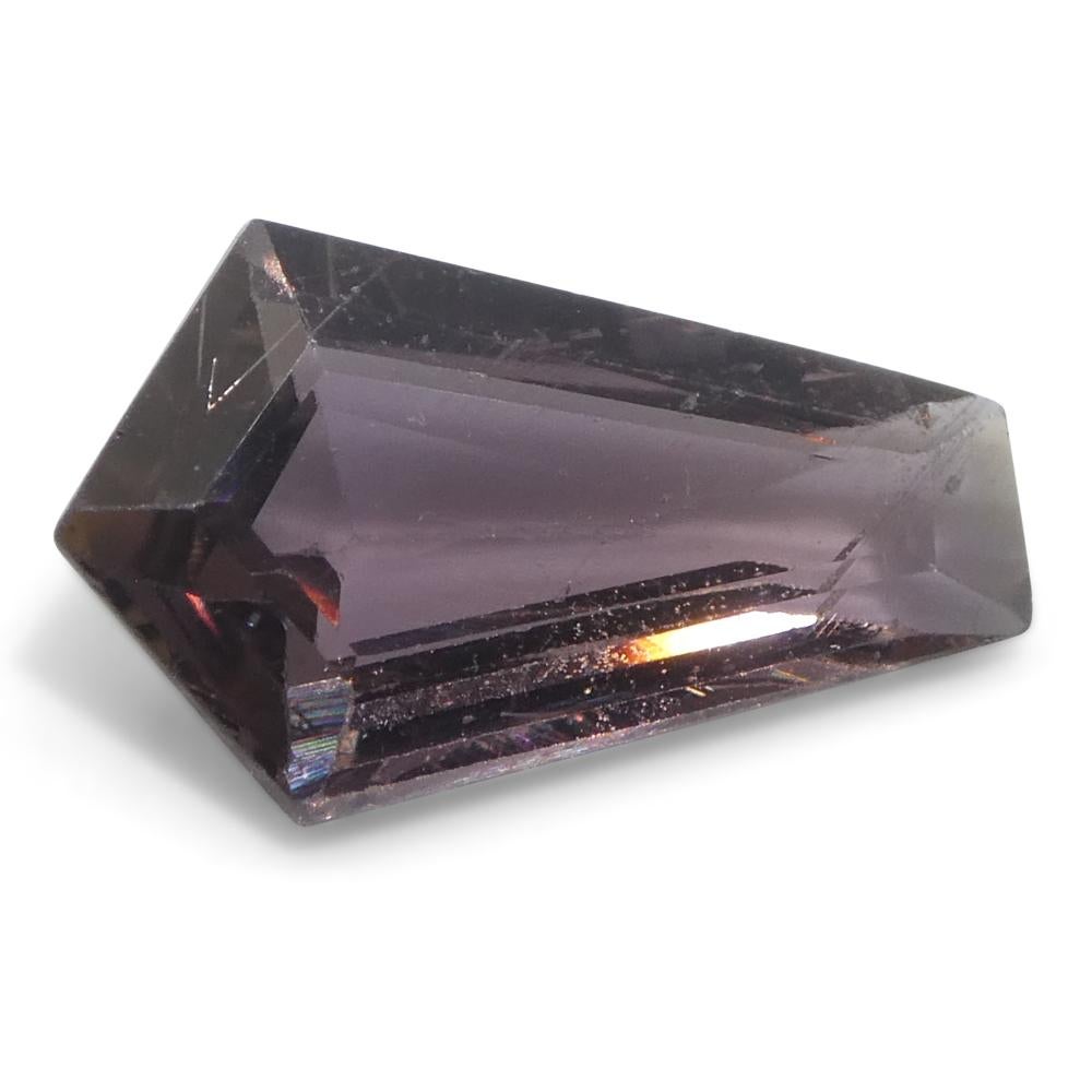 1,86ct Pentagon/Coffin Purple Sapphire aus Ostafrika im Angebot 3