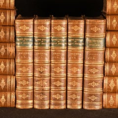 [1870]-1883 La historia de Inglaterra, Los ingleses en Irlanda, Breves estudios