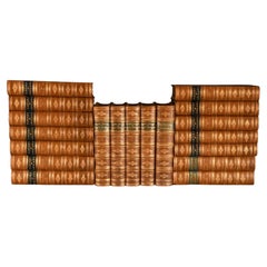 [1870]-1883 The History of England, The English in Ireland, Short Studies