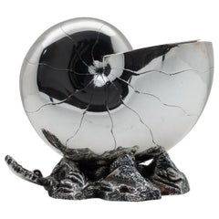 1870 English Nautilus Spoon Warmer, Silver Plated