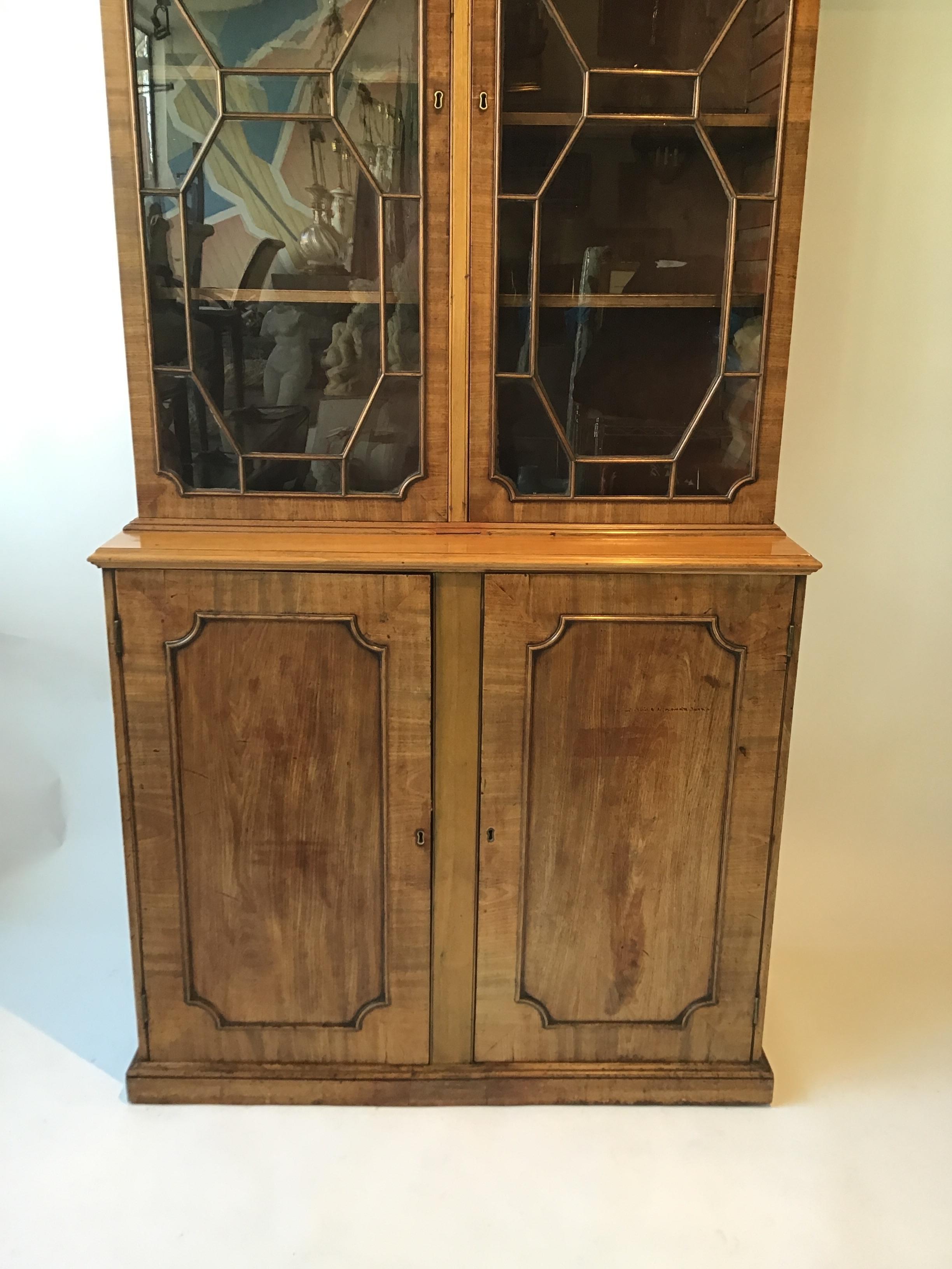 Fruitwood 1870s Tall English Regency Cabinet