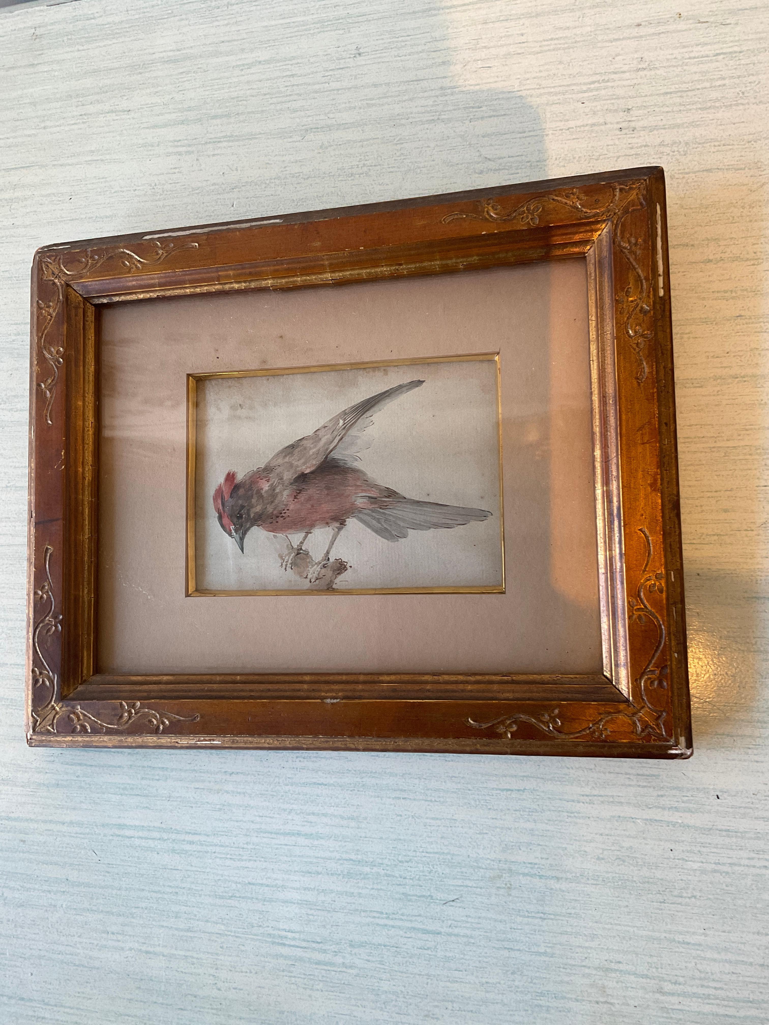 Papier Aquarelle d'oiseau des années 1870 en vente