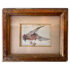 Acquerello di uccello del 1870