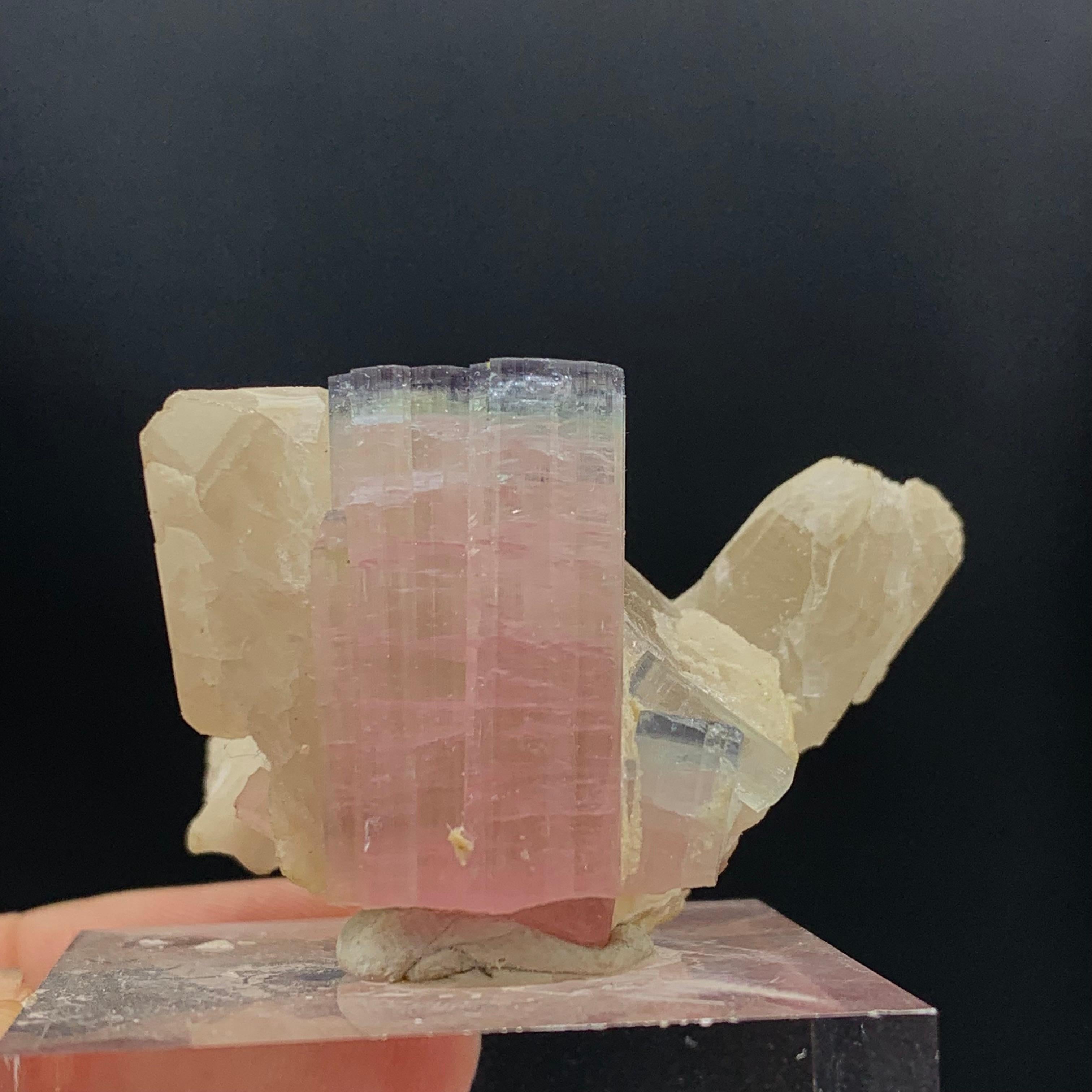 Light Pink Tourmaline specimen Elongated on Quartz with Mica
WEIGHT: 187.25 Carat
DIMENSIONS : 2.7 x 4.5 x 3.4 cm
ORIGIN: Kunar, Afghanistan
TREATMENT None
Tourmaline is an extremely popular gemstone; the name Tourmaline is derived from