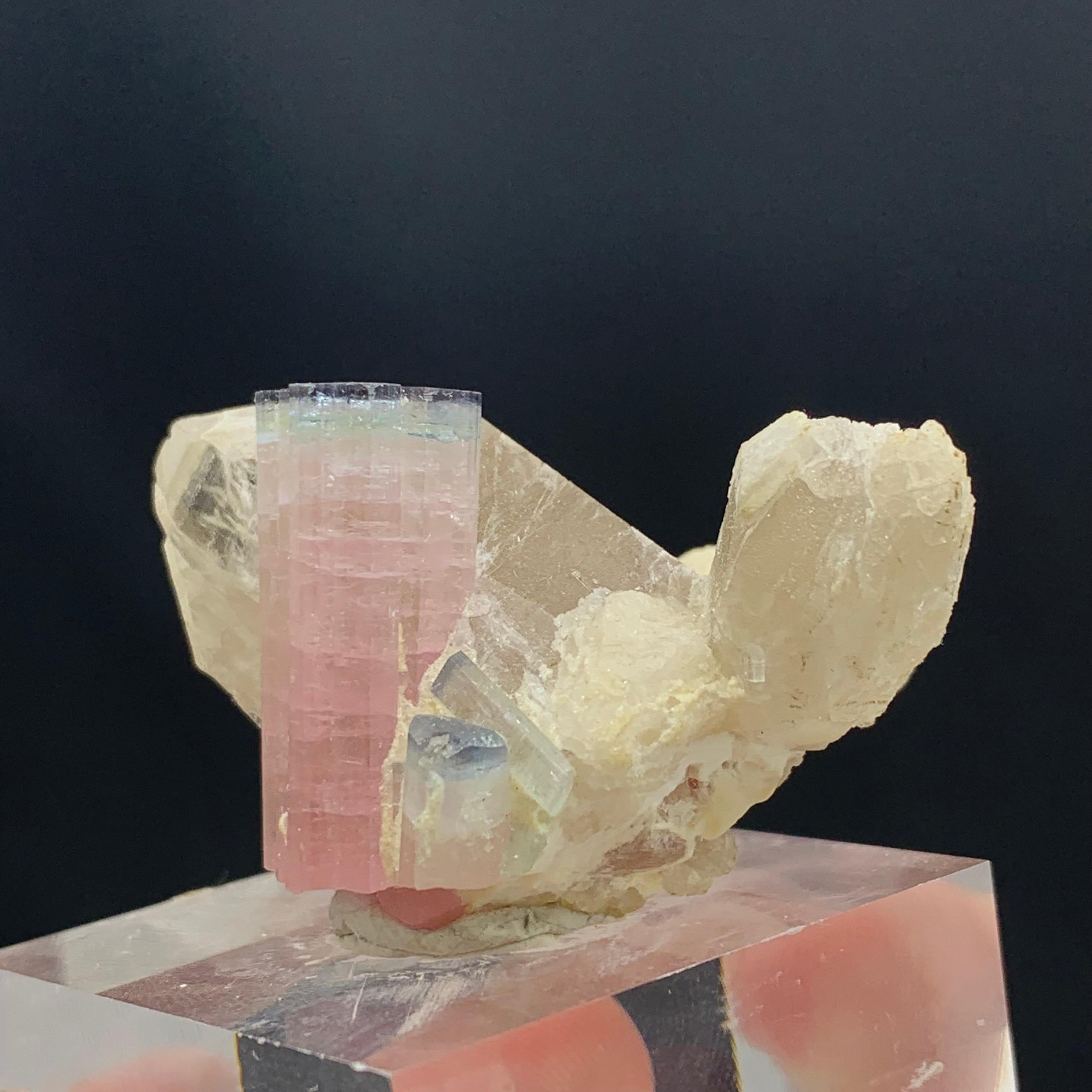 Adam Style 187.25 Carat Light Pink Tourmaline Specimen Elongated on Quartz with Mica For Sale