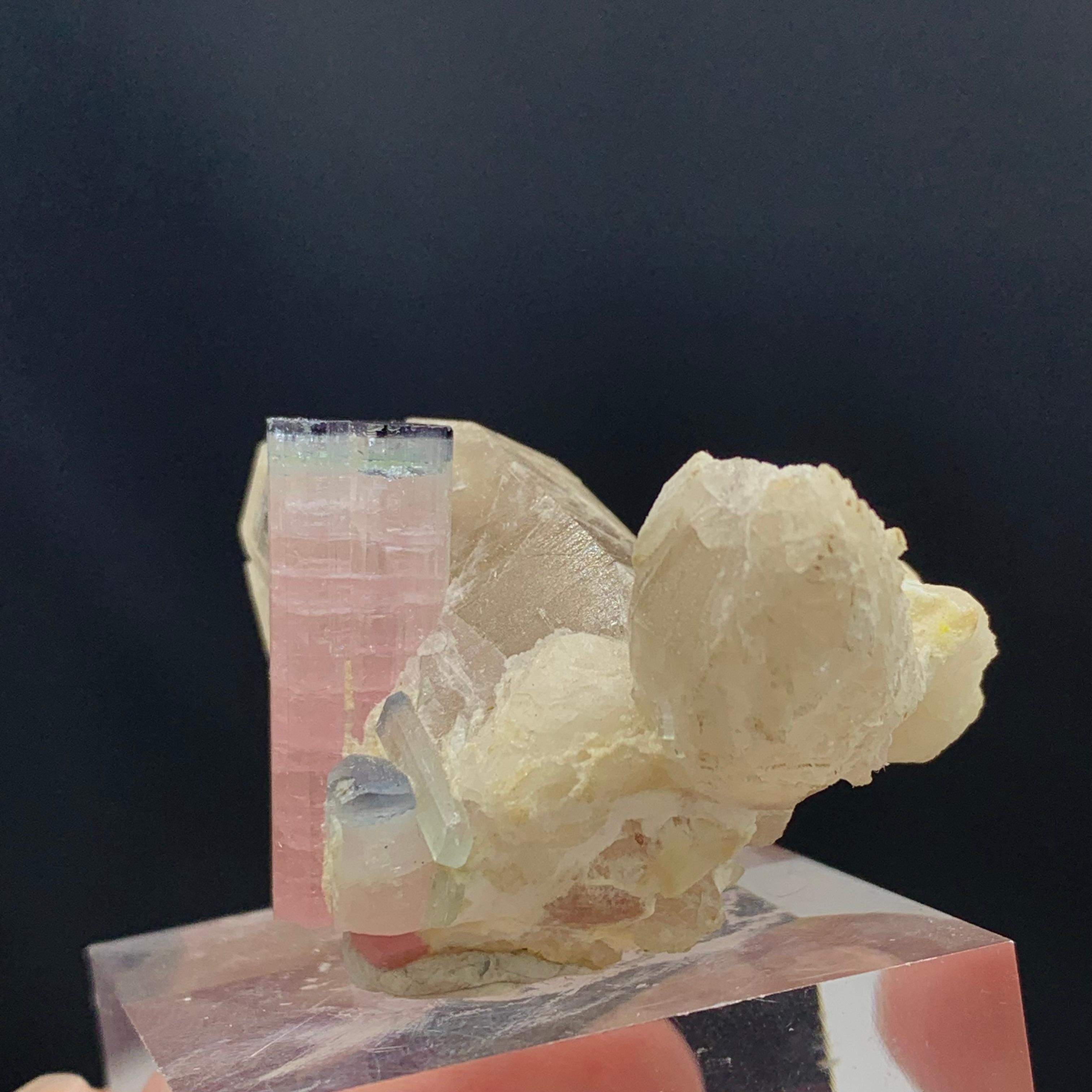 18th Century and Earlier 187.25 Carat Light Pink Tourmaline Specimen Elongated on Quartz with Mica For Sale
