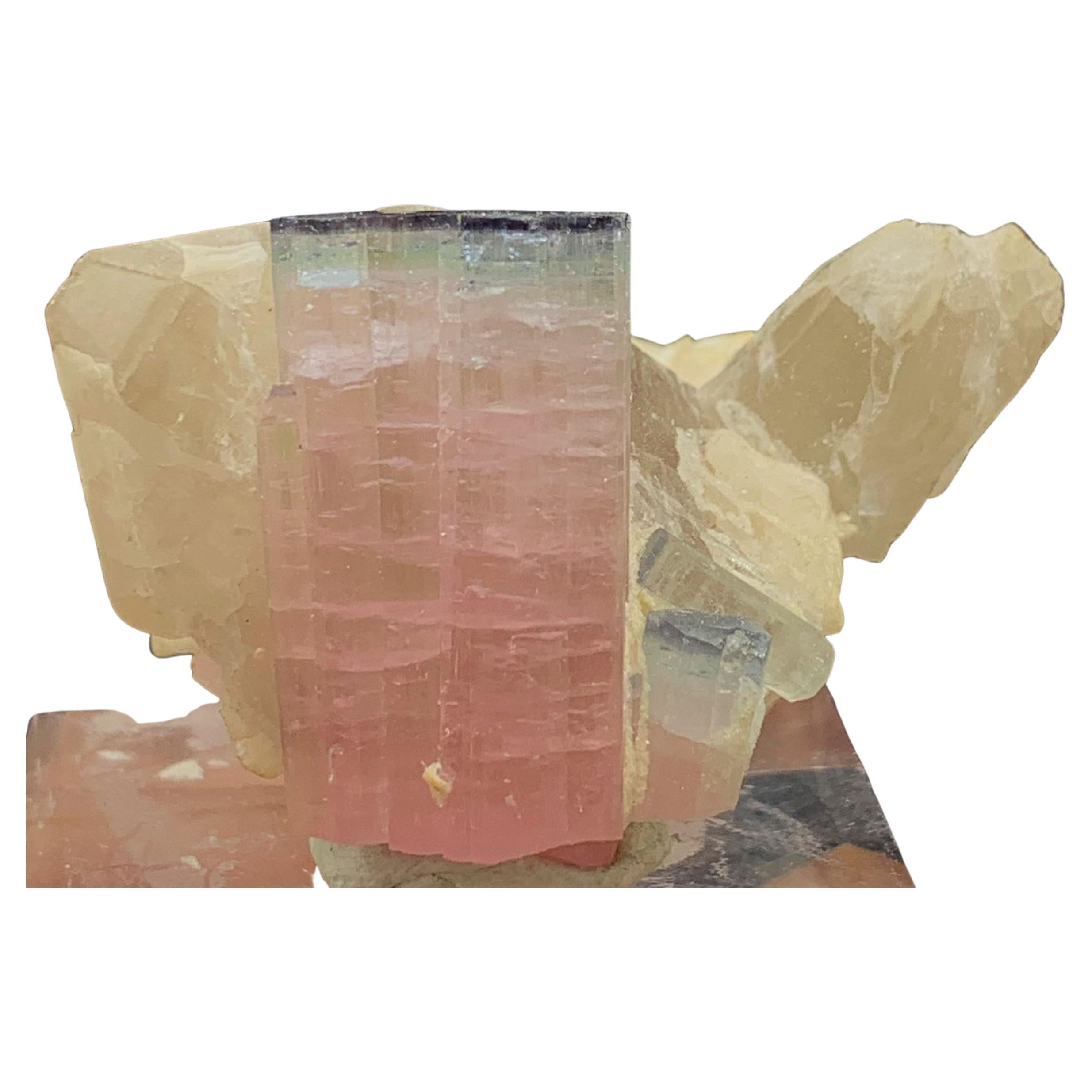 187.25 Carat Light Pink Tourmaline Specimen Elongated on Quartz with Mica For Sale