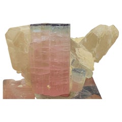 187.25 Carat Light Pink Tourmaline Specimen Elongated on Quartz with Mica