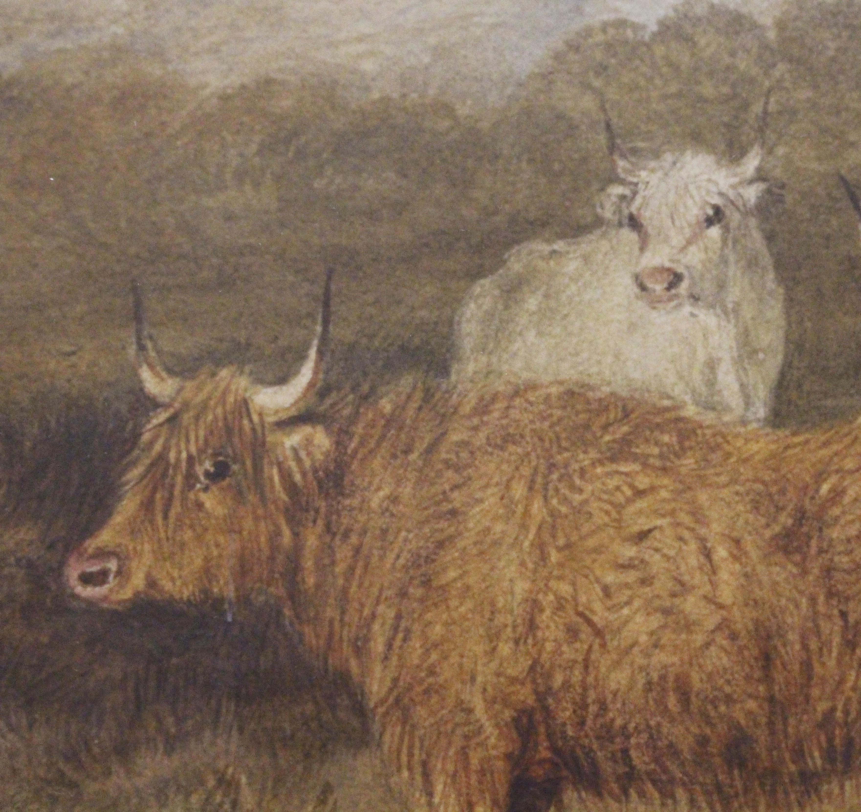 1873 English Watercolor of Scottish Highland Cattle by R. S. Mott For Sale 1