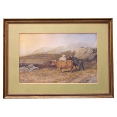 Paintings
