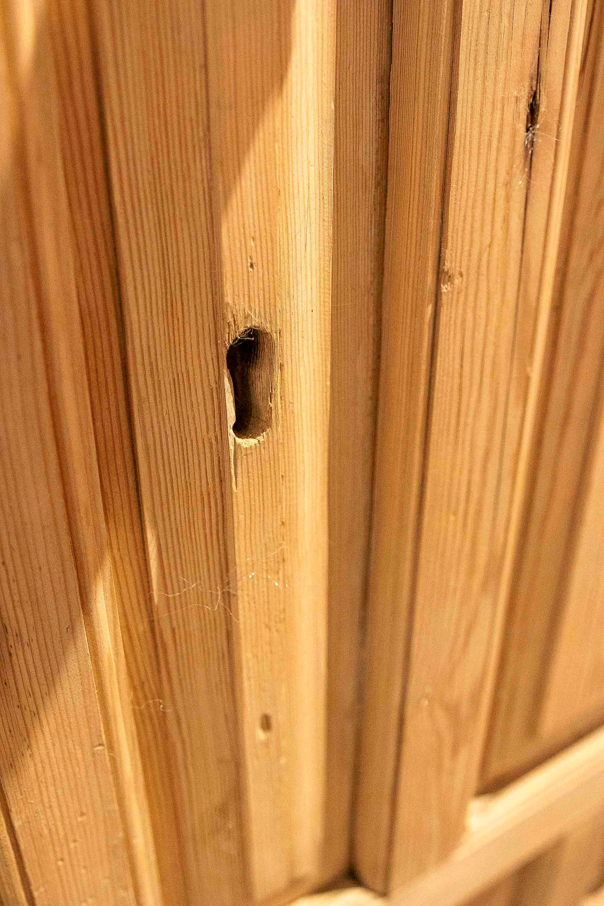 1875s Pair of Antique Wooden Doors with Carved Panels and Iron Knocker For Sale 7