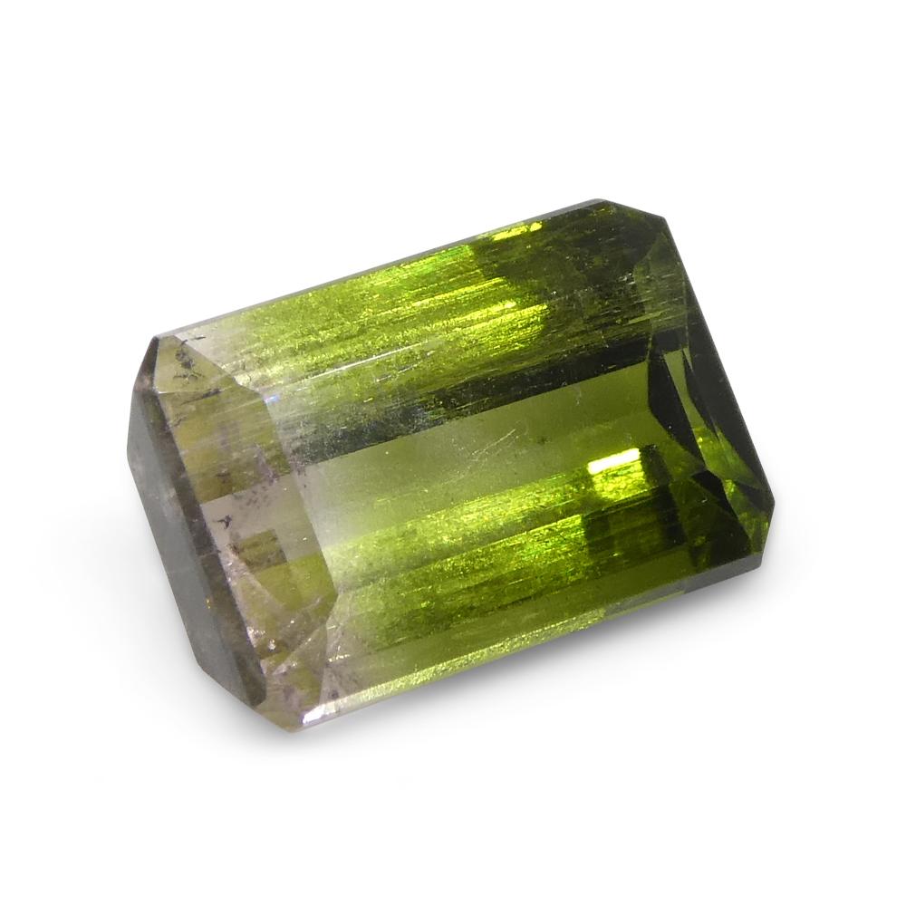 Tourmaline vert et rose bicolore taille émeraude 1.87 carat en vente 5