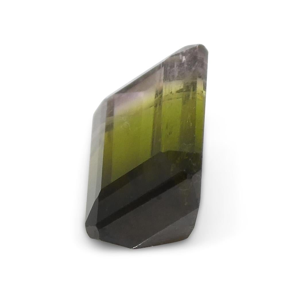 1.87ct Emerald Cut Green & Pink Bi-Colour Tourmaline from Brazil For Sale 6