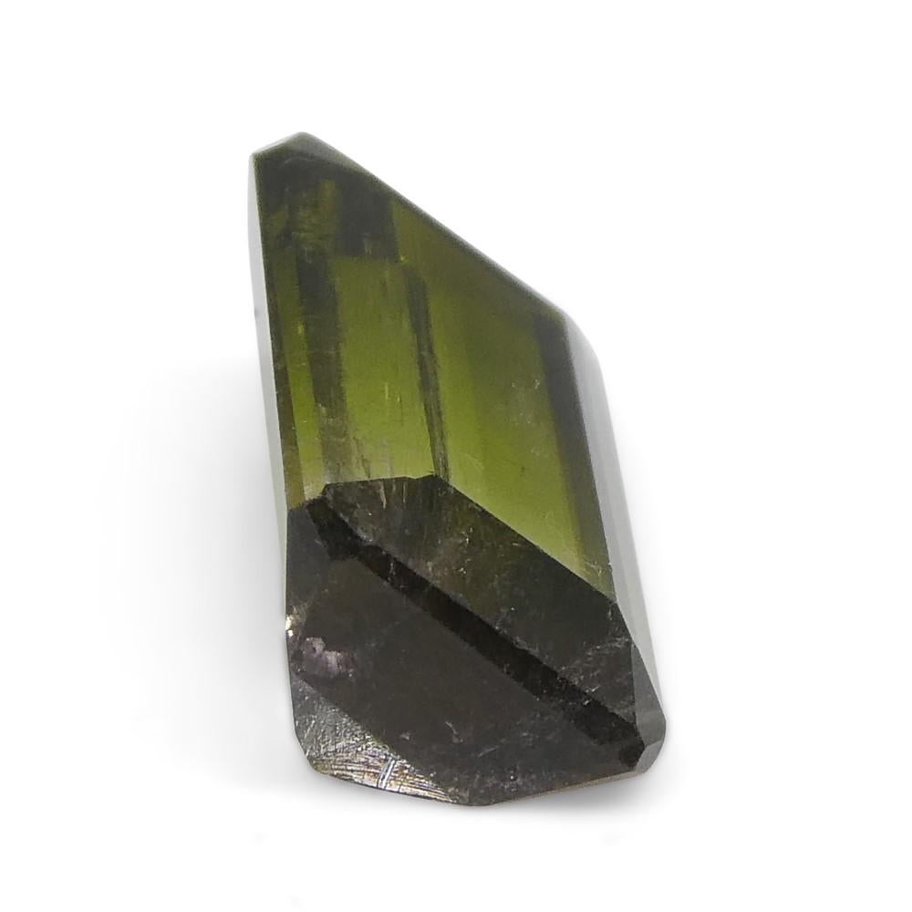 Tourmaline vert et rose bicolore taille émeraude 1.87 carat en vente 2