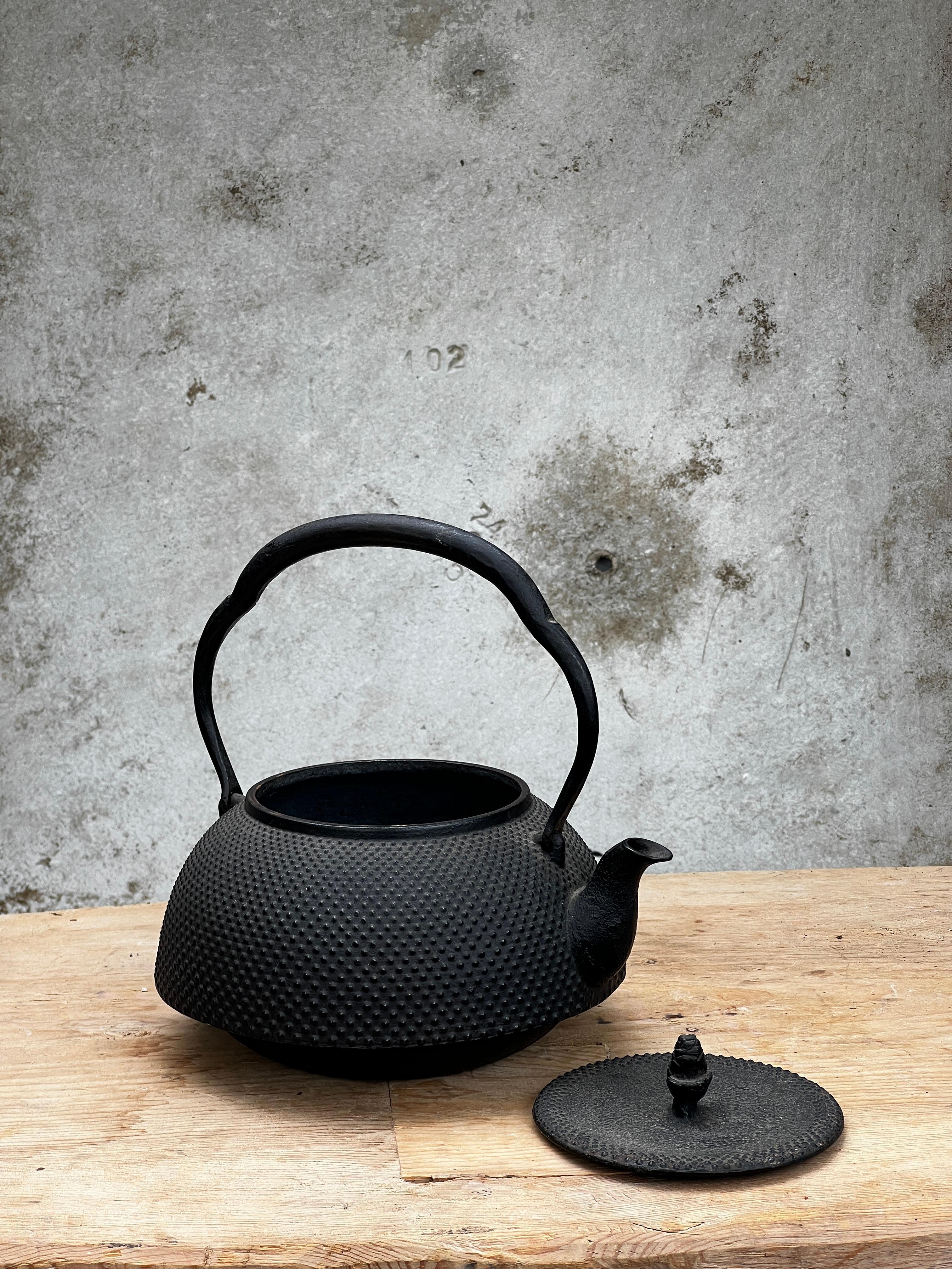 Showa 1880 Meiji Japanese Cast Iron Nambu Tekki Kettle