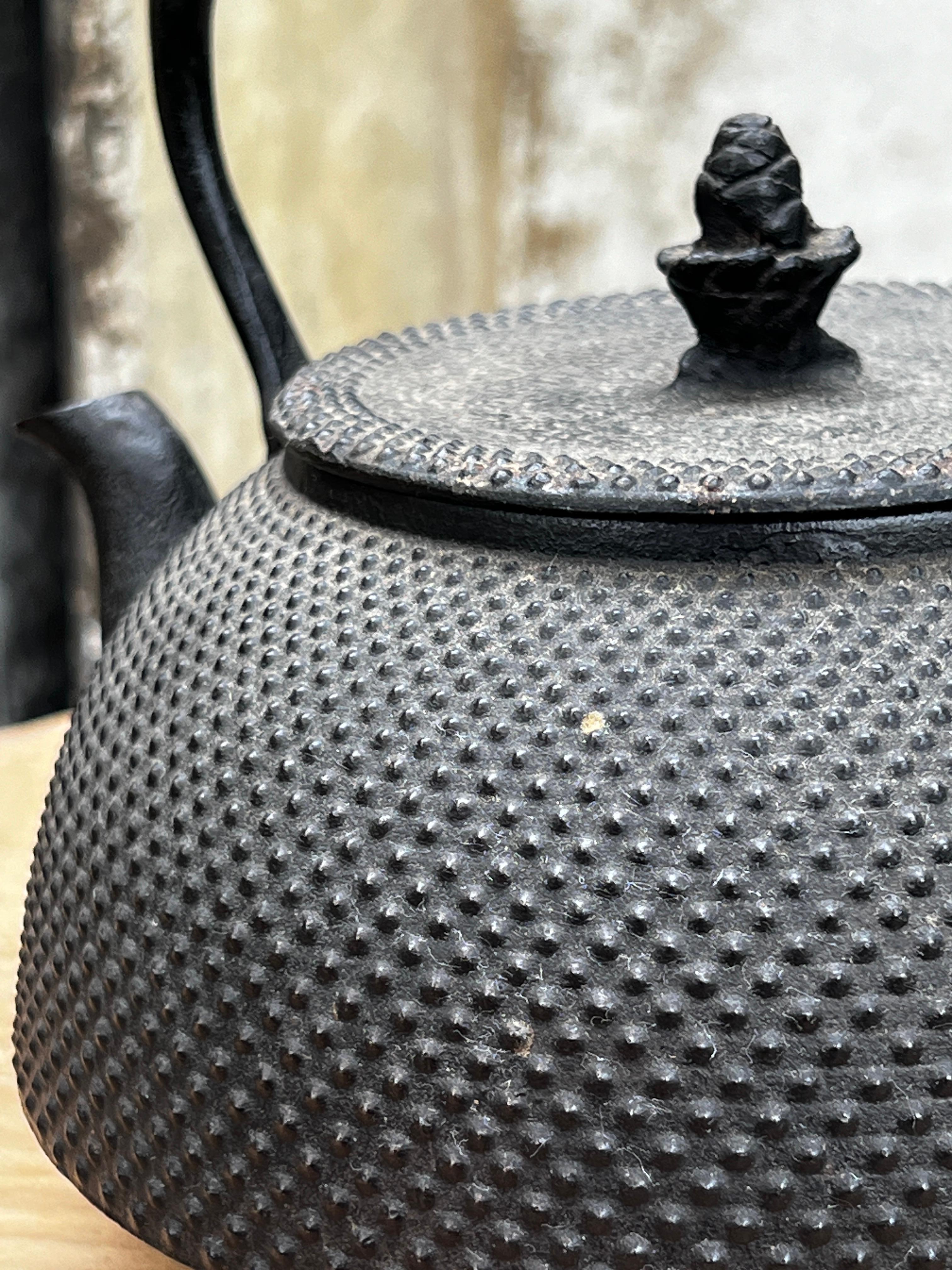 1880 Meiji Japanese Cast Iron Nambu Tekki Kettle 1