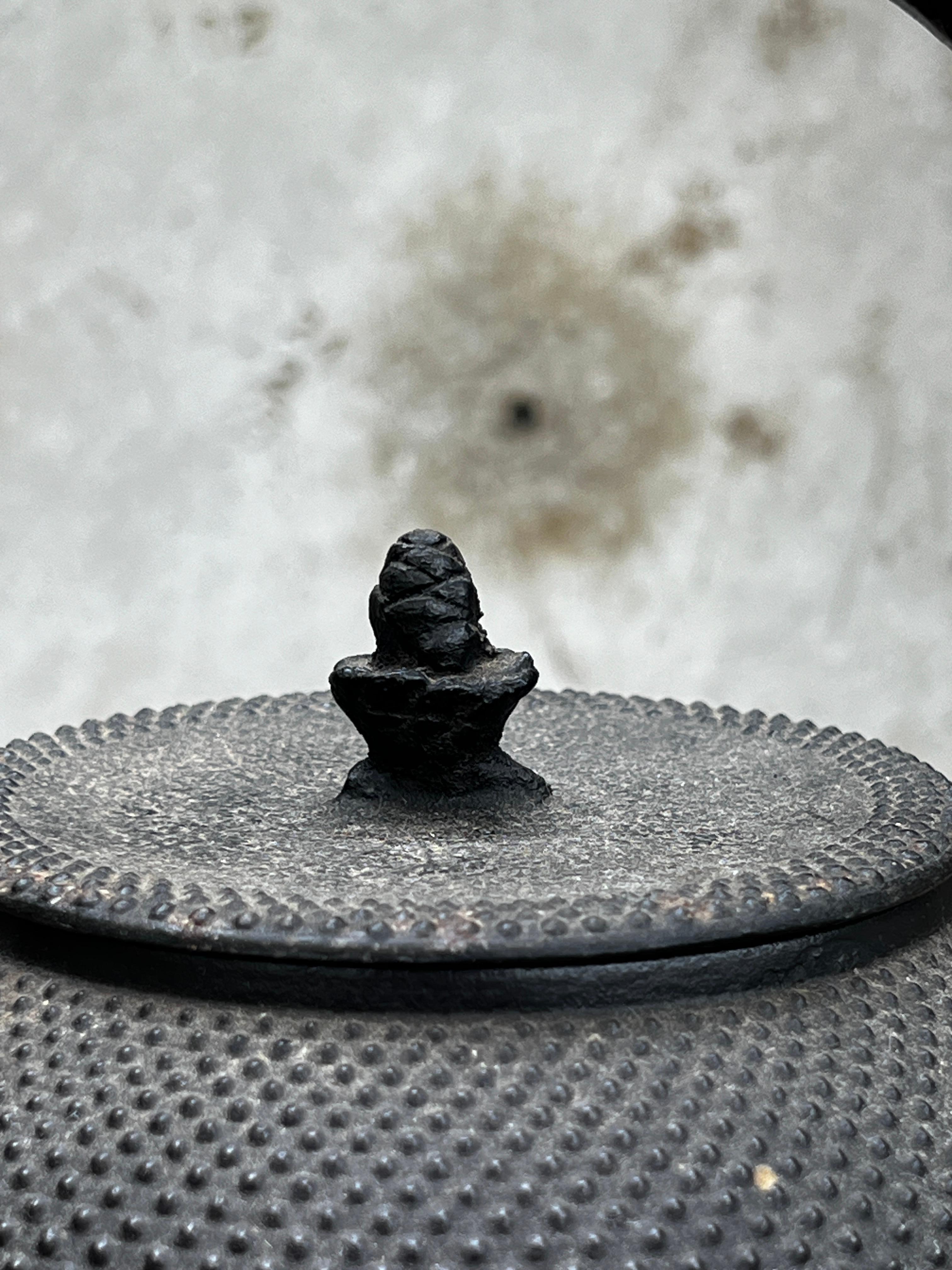 1880 Meiji Japanese Cast Iron Nambu Tekki Kettle 3
