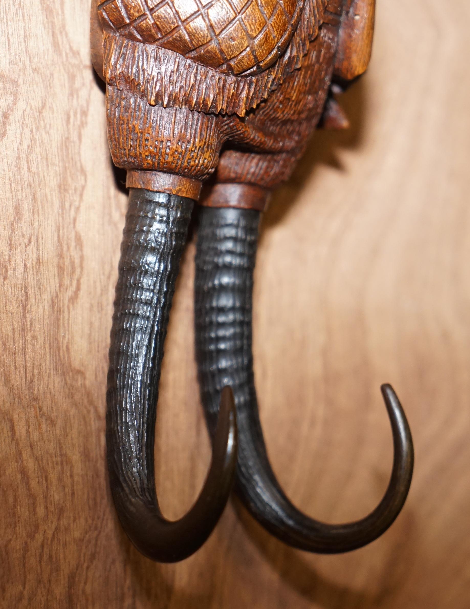 Wood 1880 Very Rare Large Musical Swiss Black Forest Rabbit Whip Hook Glass Eyes
