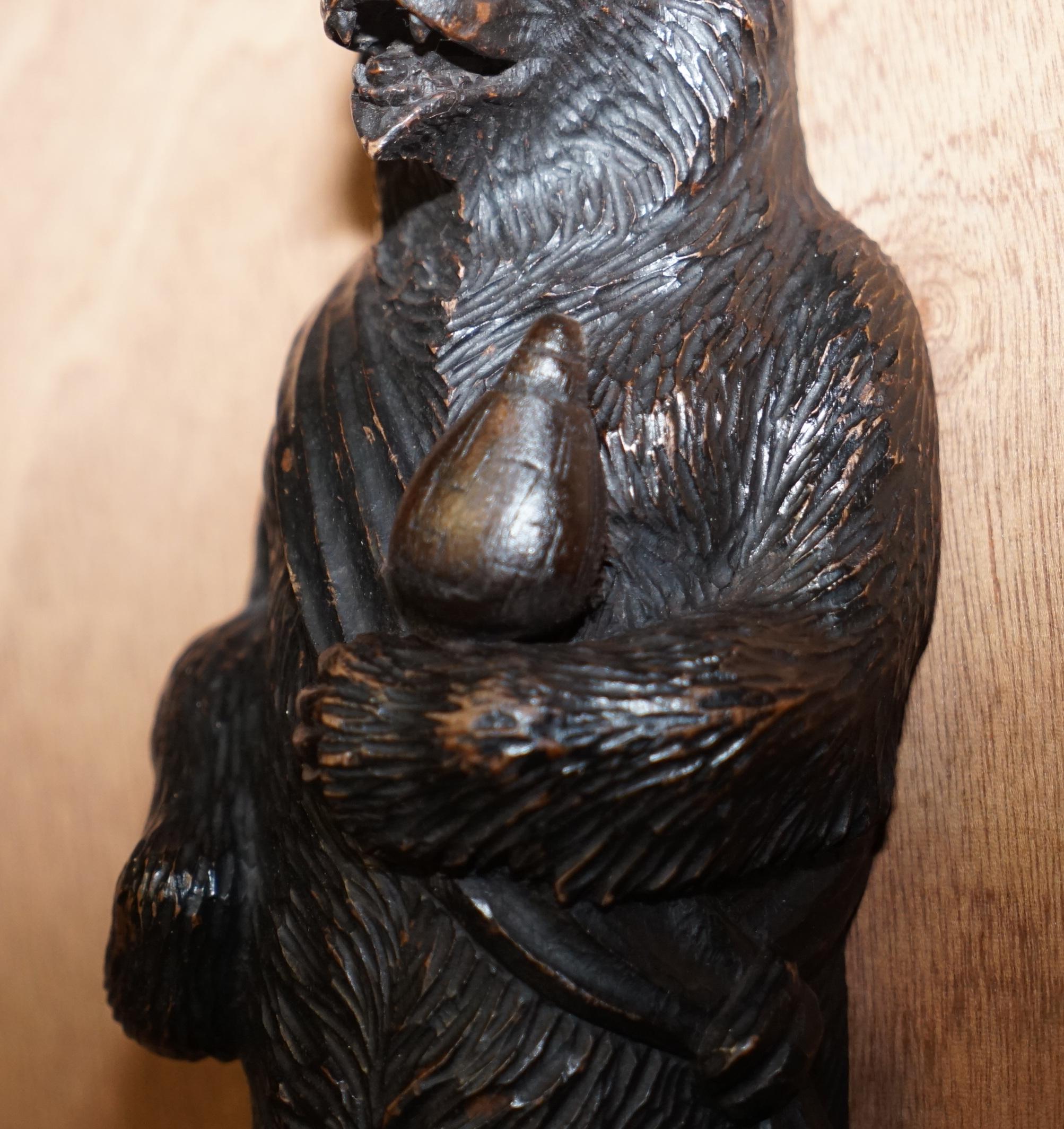 1880 Very Rare Medium Swiss Black Forest Bear with Bottle Whip Hook Hand Carved 3