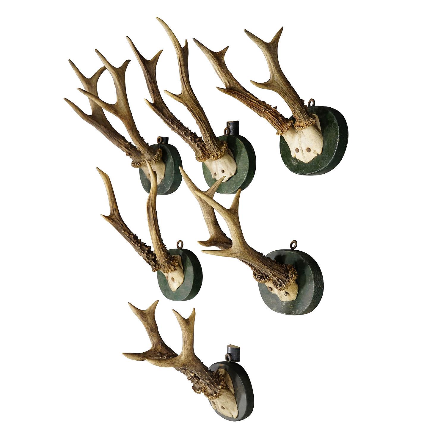 1880s Black Forest Deer Trophy Set on Turned Wooden Plaques

A set of six antique Black Forest roe deer (Capreolus capreolus) trophies mounted on turned wooden plaques with a dark green finish. The trophies were shot in Germany in the 1880s. Two