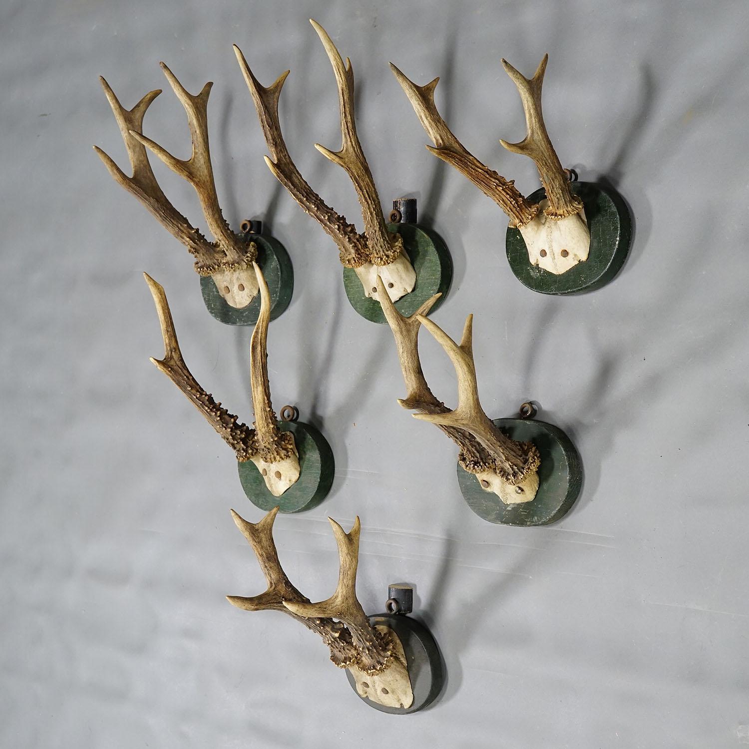 Rustique Ensemble de trophées de cerfs de Black Forest des années 1880 sur plaques en bois tourné en vente