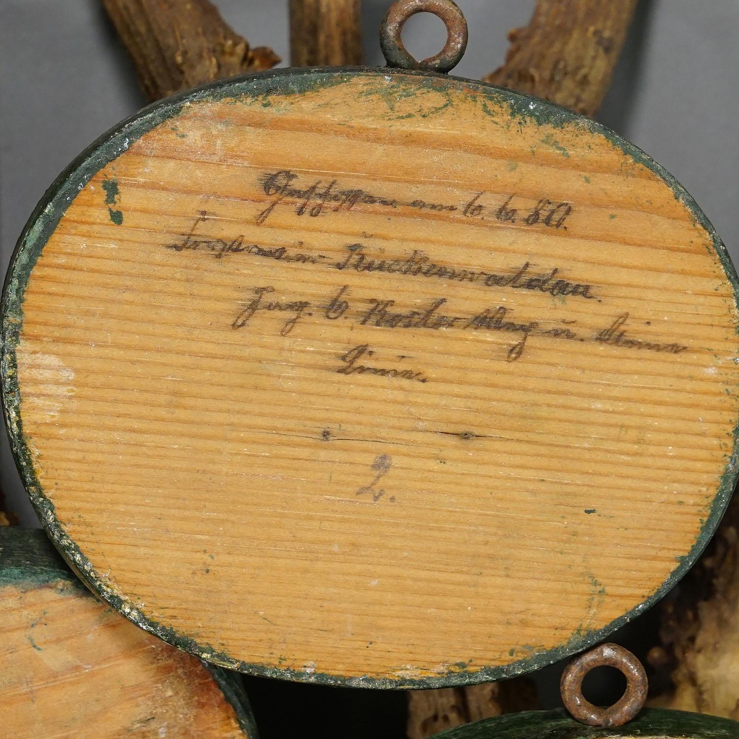 1880s Black Forest Deer Trophy Set on Turned Wooden Plaques For Sale 2