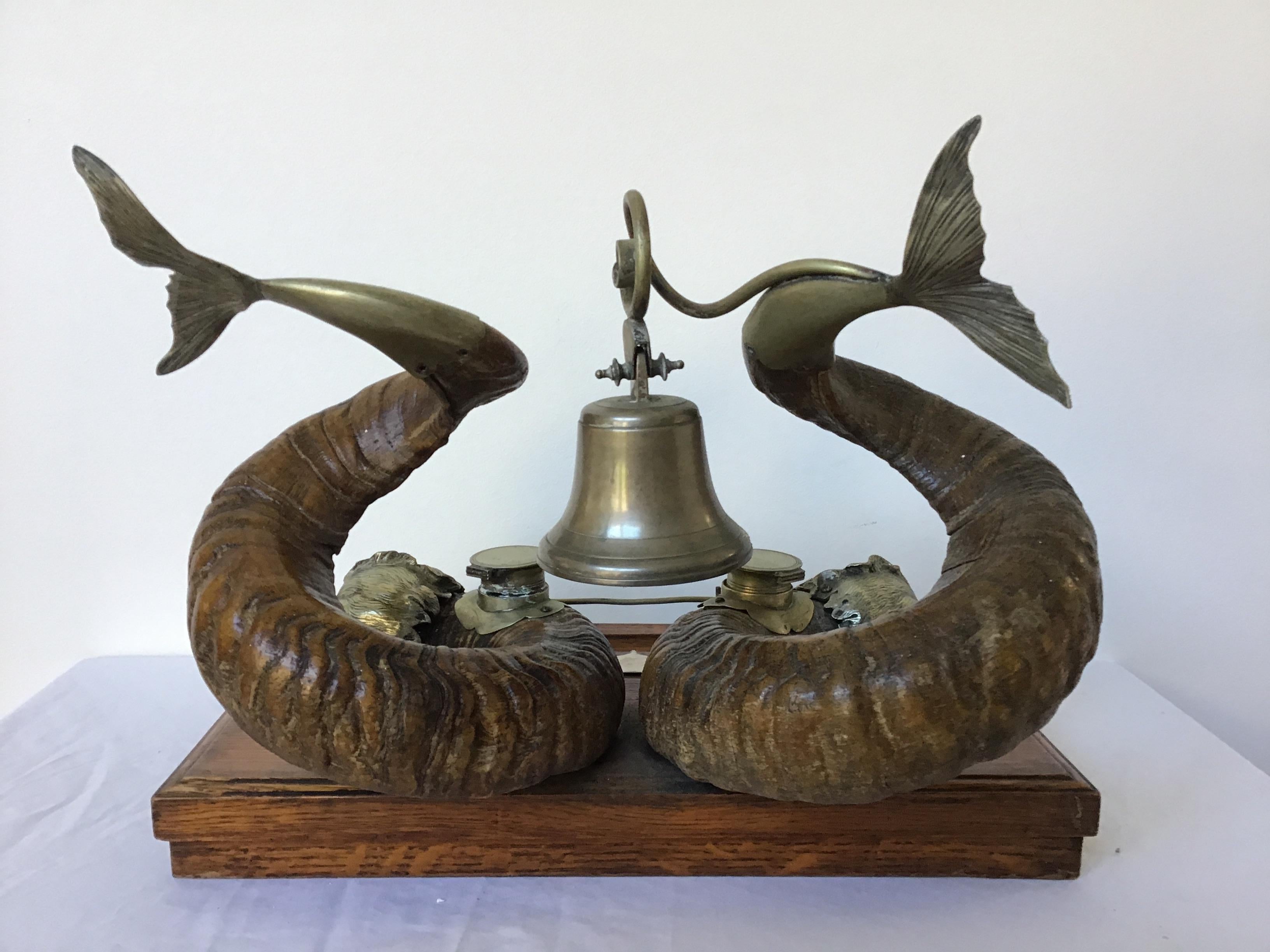 horn dolphin