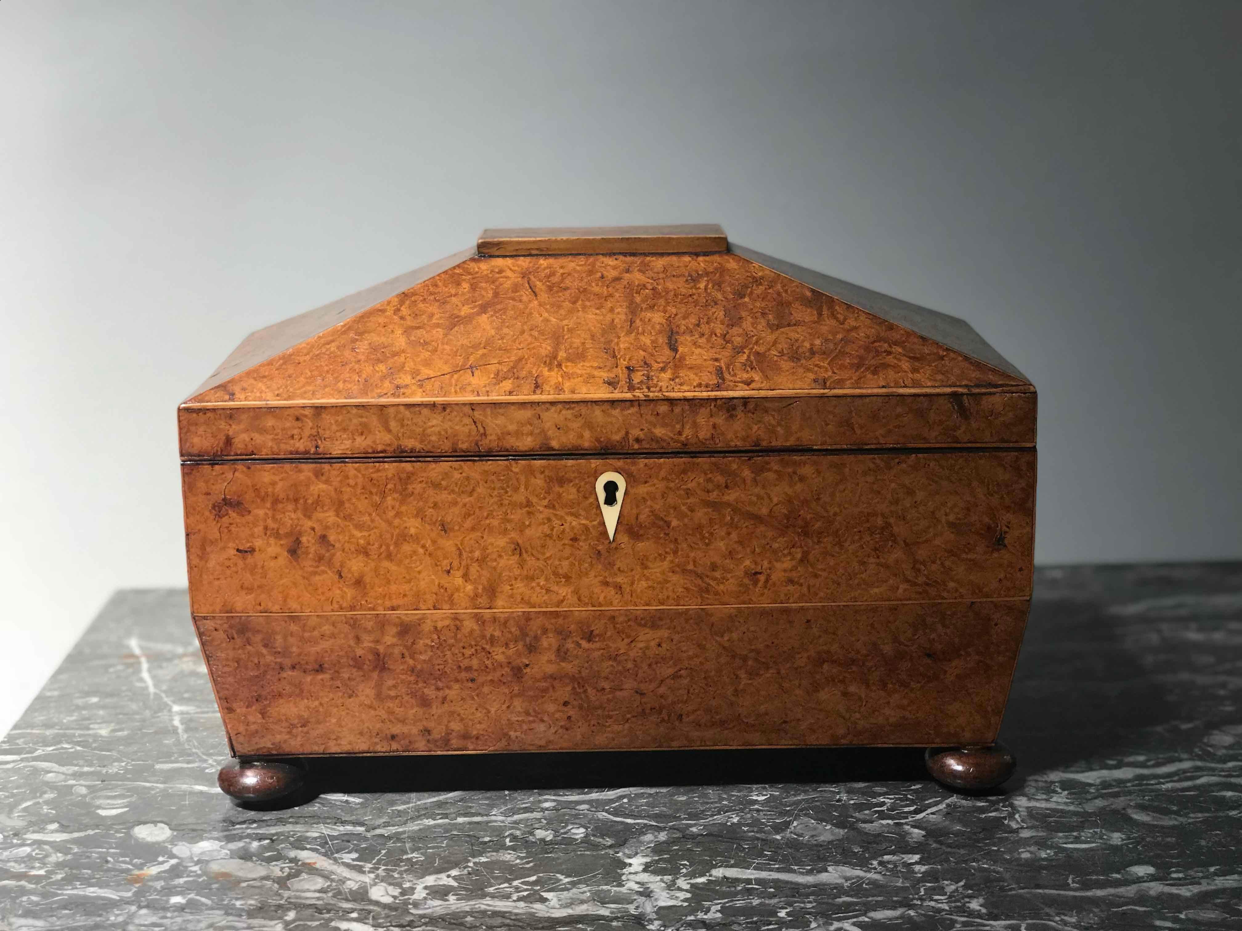 1880s large yew wood English tea caddy with round feet and three compartments. Two rectangular compartments with knobbed lids and one circular compartment with round glass. 