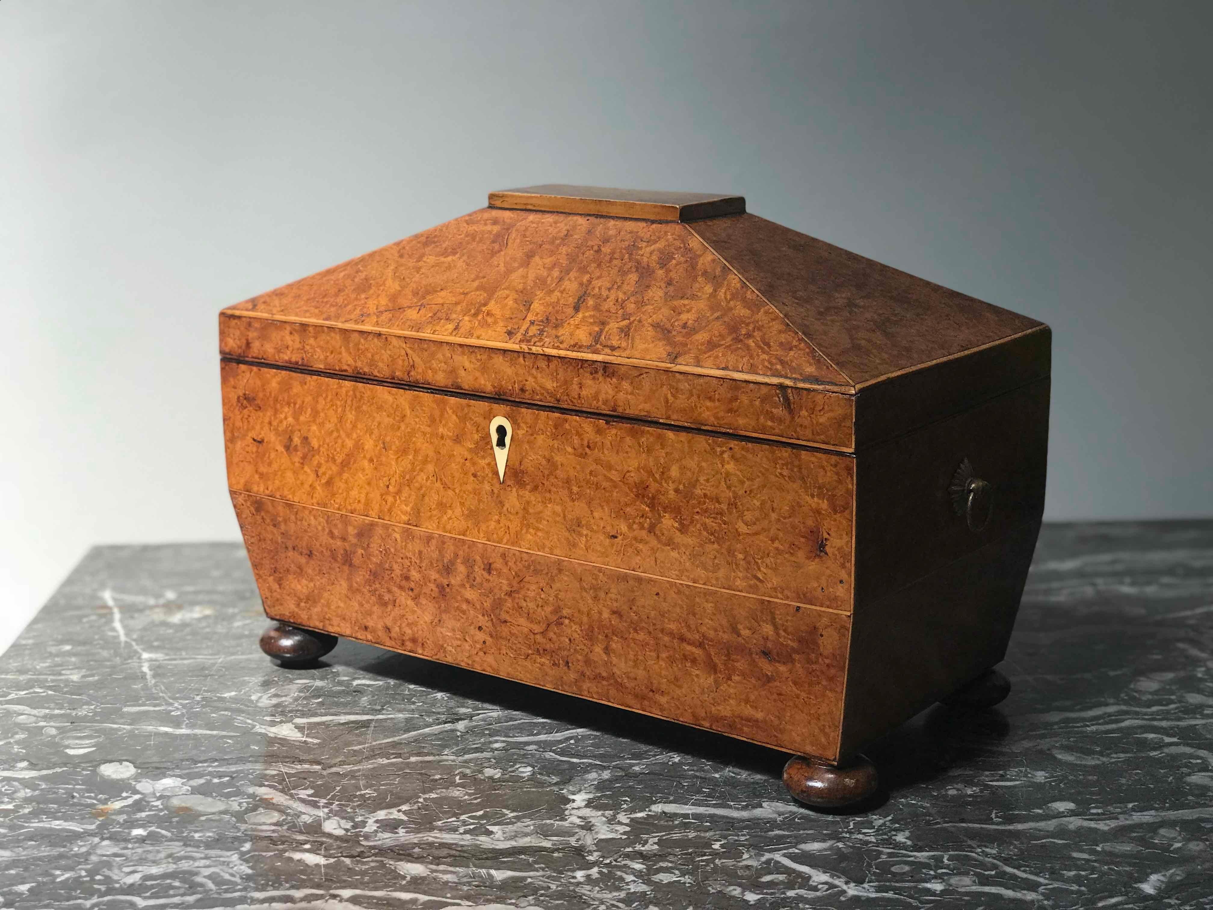 Victorian 1880s Large Yew Wood English Tea Caddy with Three Compartments 