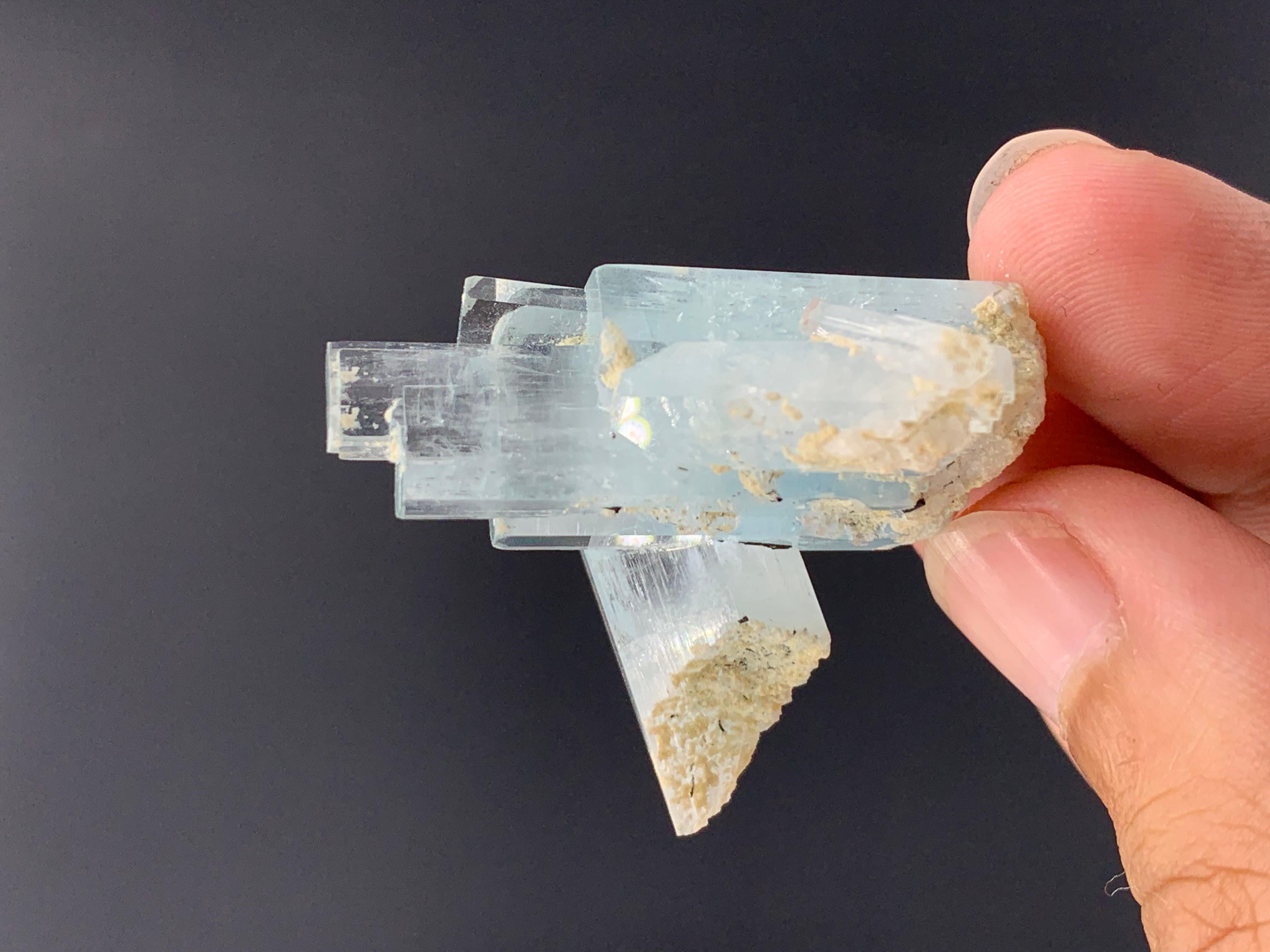 Élégant bouleau en cristal d'aigue-marine de 18,82 grammes provenant de la vallée de Skardu, Pakistan  en vente 2