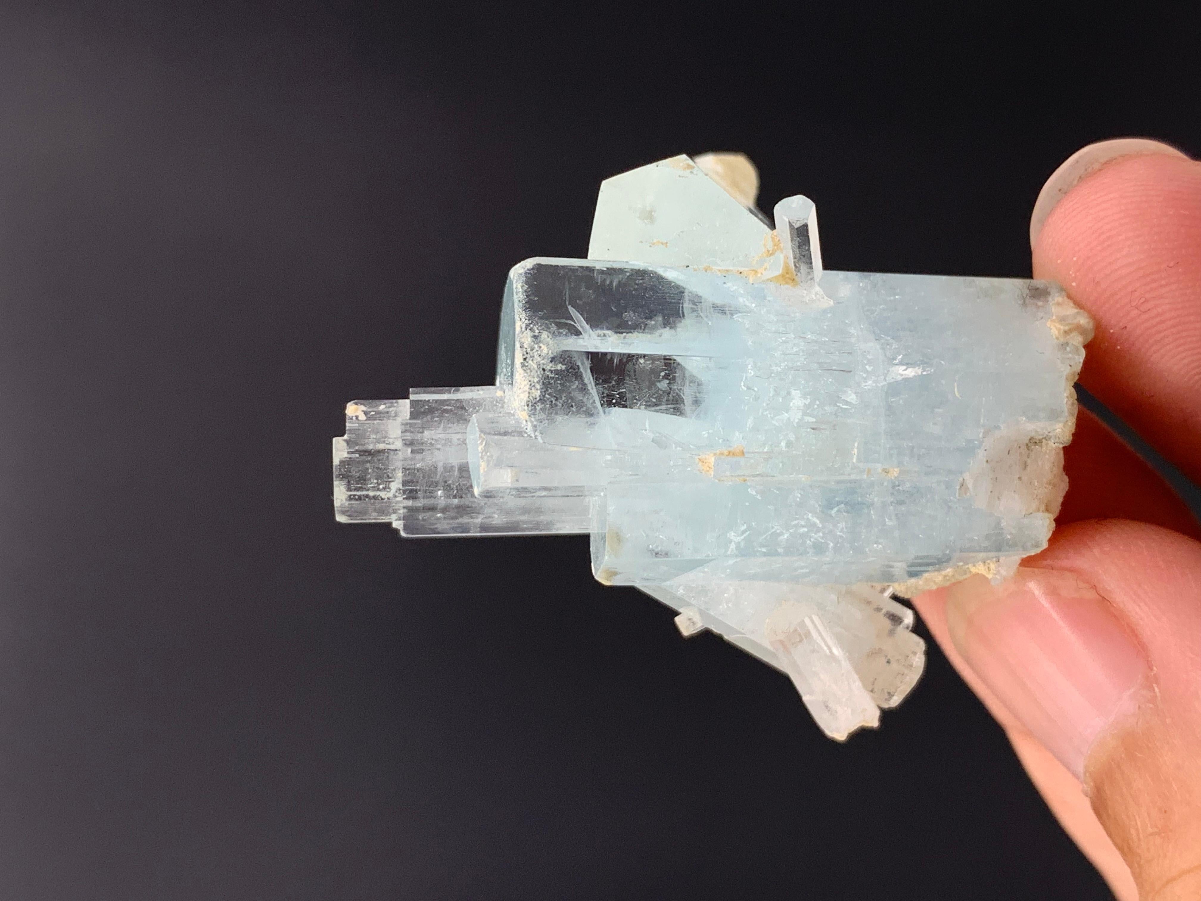 Élégant bouleau en cristal d'aigue-marine de 18,82 grammes provenant de la vallée de Skardu, Pakistan  en vente 3