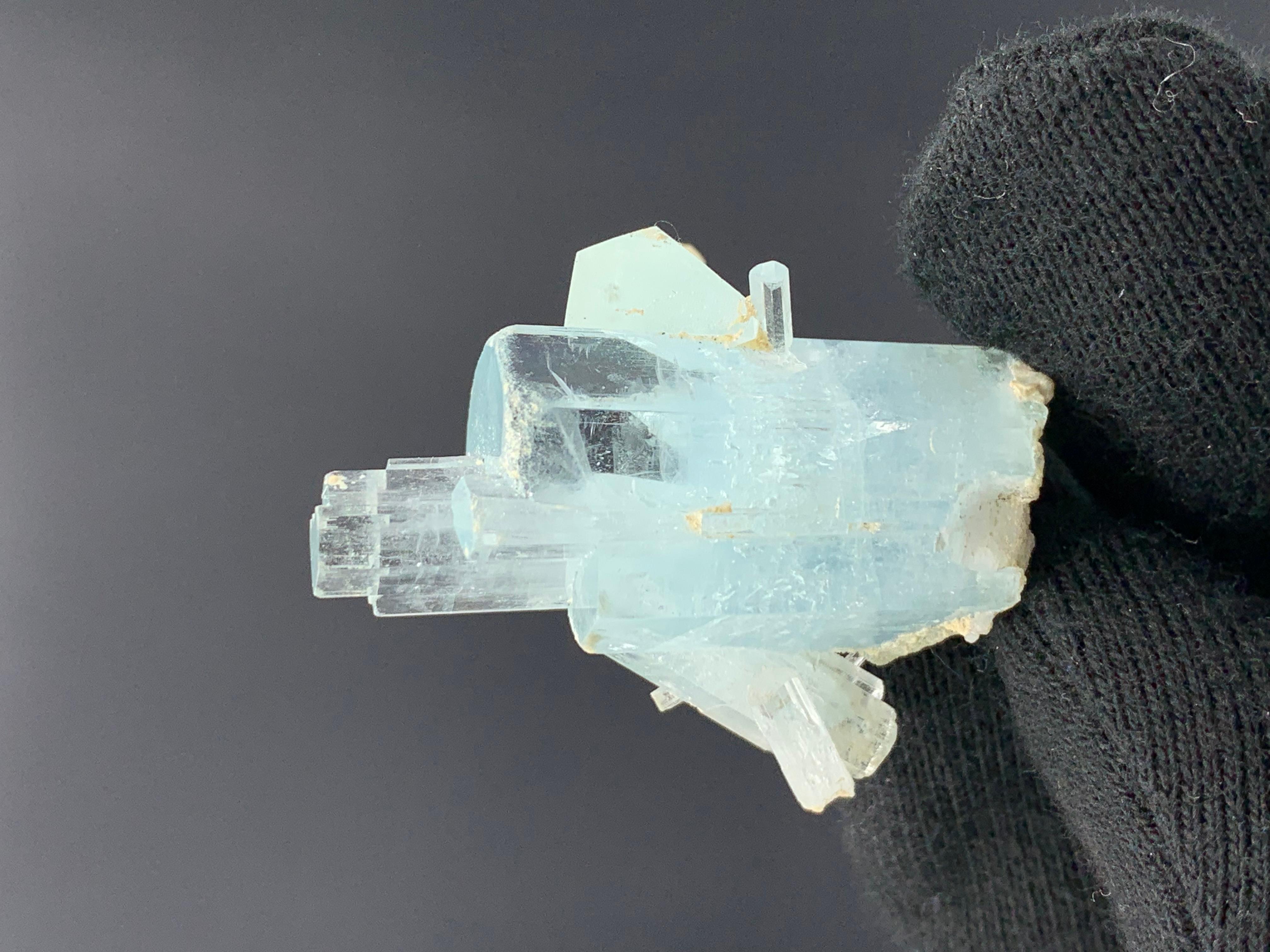 Style Adam Élégant bouleau en cristal d'aigue-marine de 18,82 grammes provenant de la vallée de Skardu, Pakistan  en vente