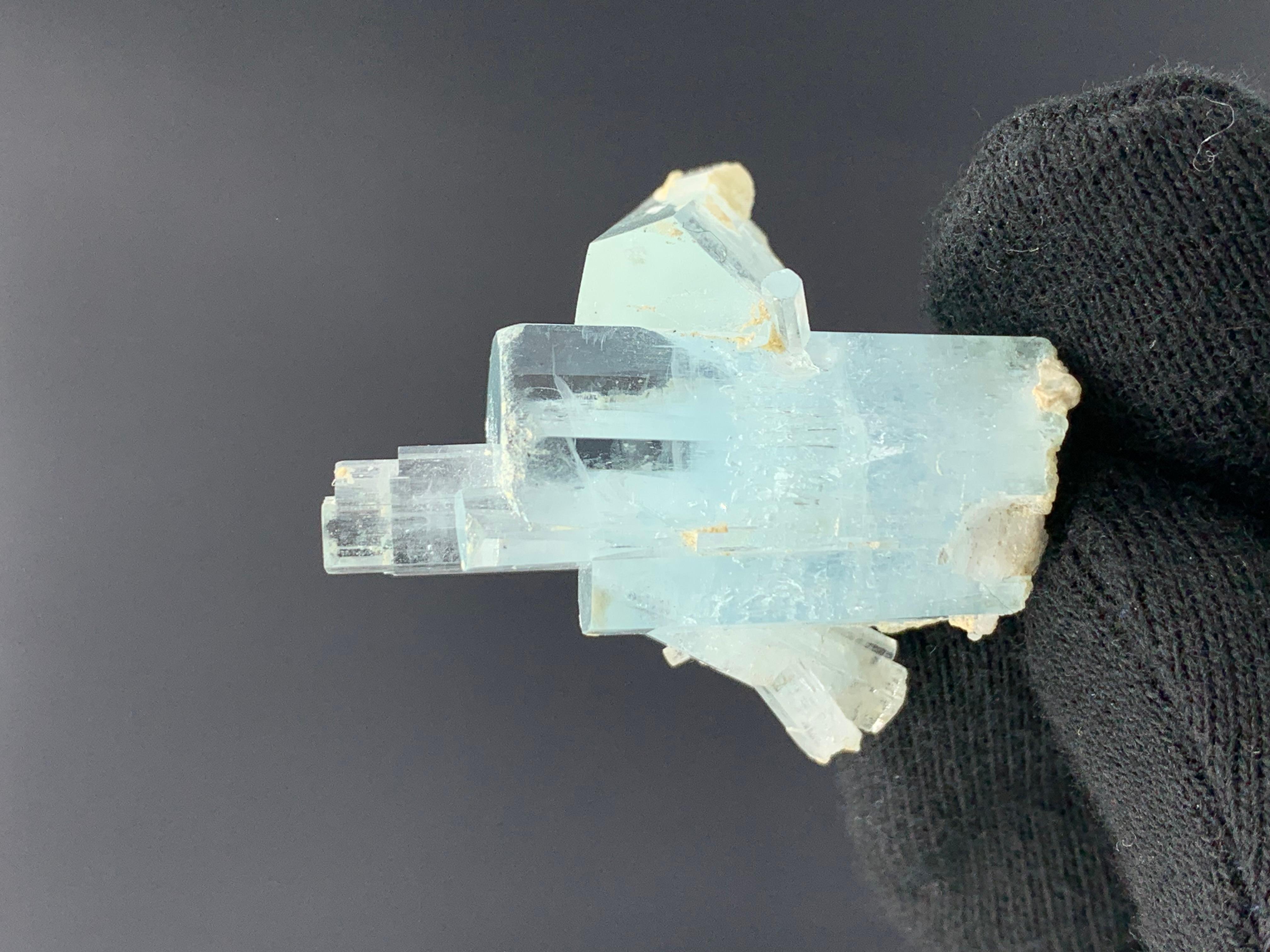 Pakistanais Élégant bouleau en cristal d'aigue-marine de 18,82 grammes provenant de la vallée de Skardu, Pakistan  en vente