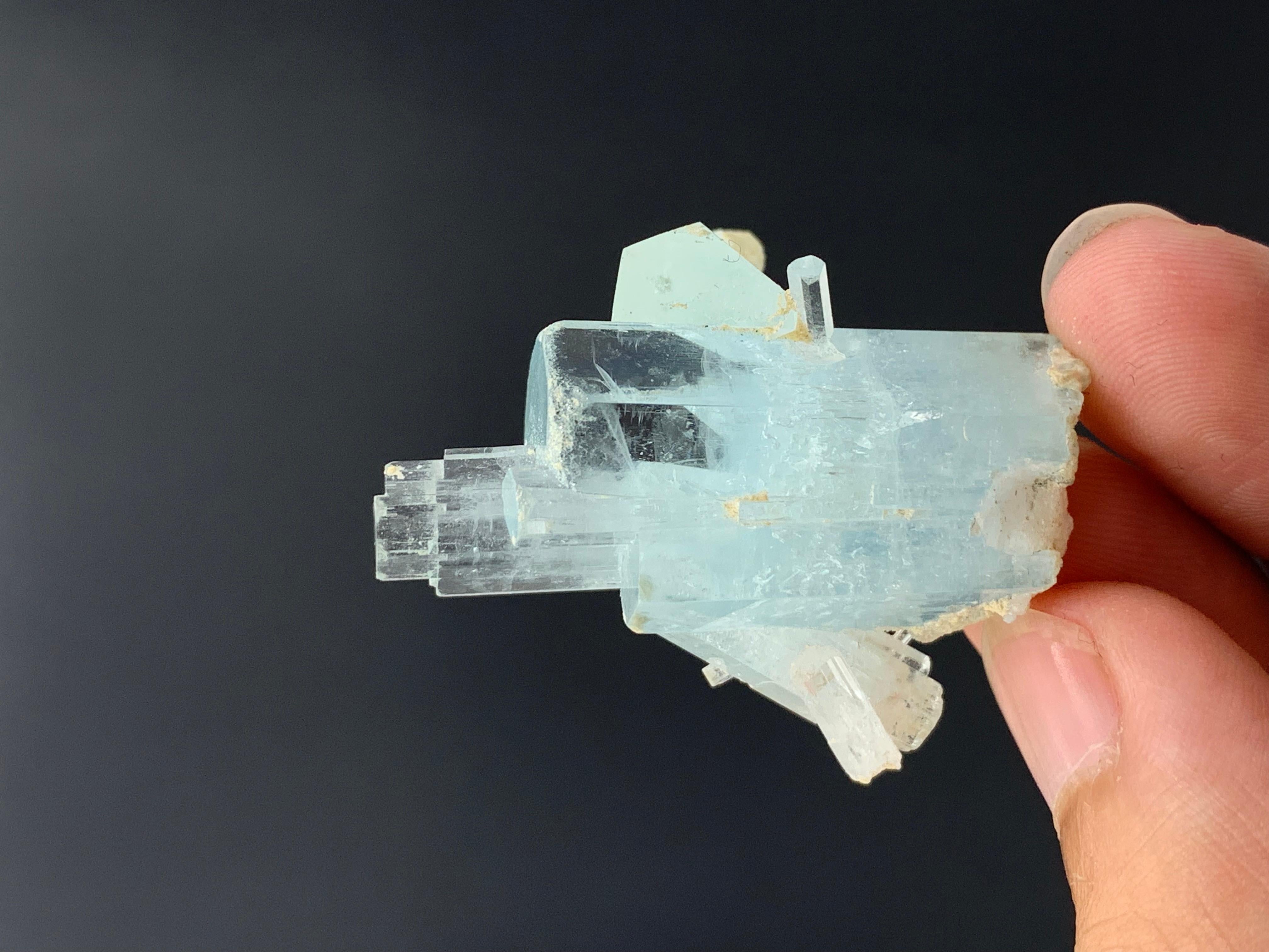 Élégant bouleau en cristal d'aigue-marine de 18,82 grammes provenant de la vallée de Skardu, Pakistan  en vente 1