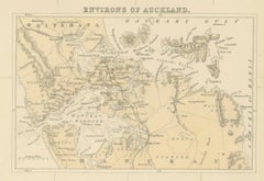 1882 Original Antique Map of New Zealand with Inset of Auckland's Environs