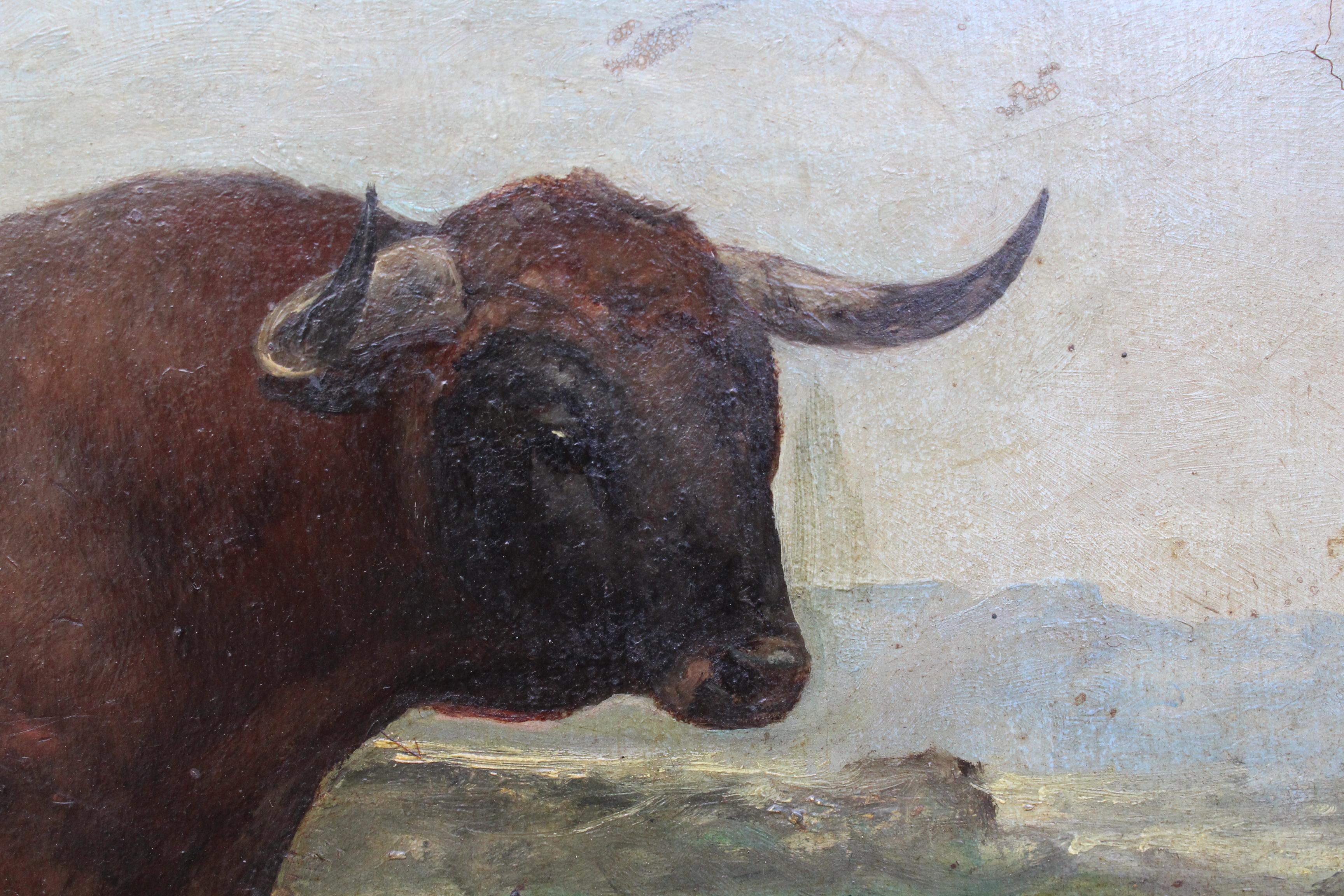 1883 Set of Three Oil on Canvas Bull Portraits by Luis Juliá Carrere 8