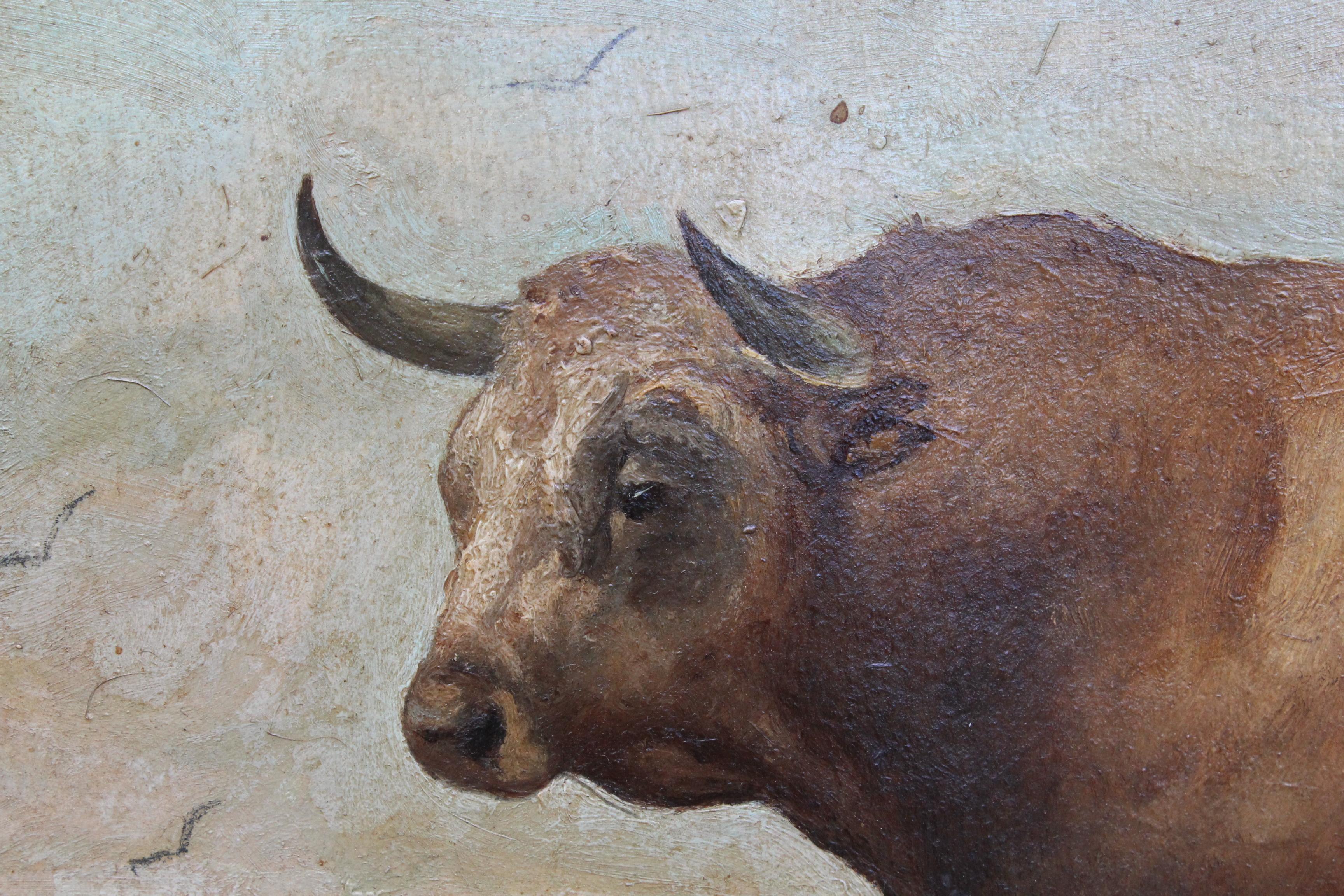 1883 set of three very special and unique framed oil on canvas bull portraits by Luis Juliá Carrere, as they have a brief hand written account of their lives that read: 
- Cerrajolo, Count of Patilla's bull, fought in 2nd place in the Plaza de