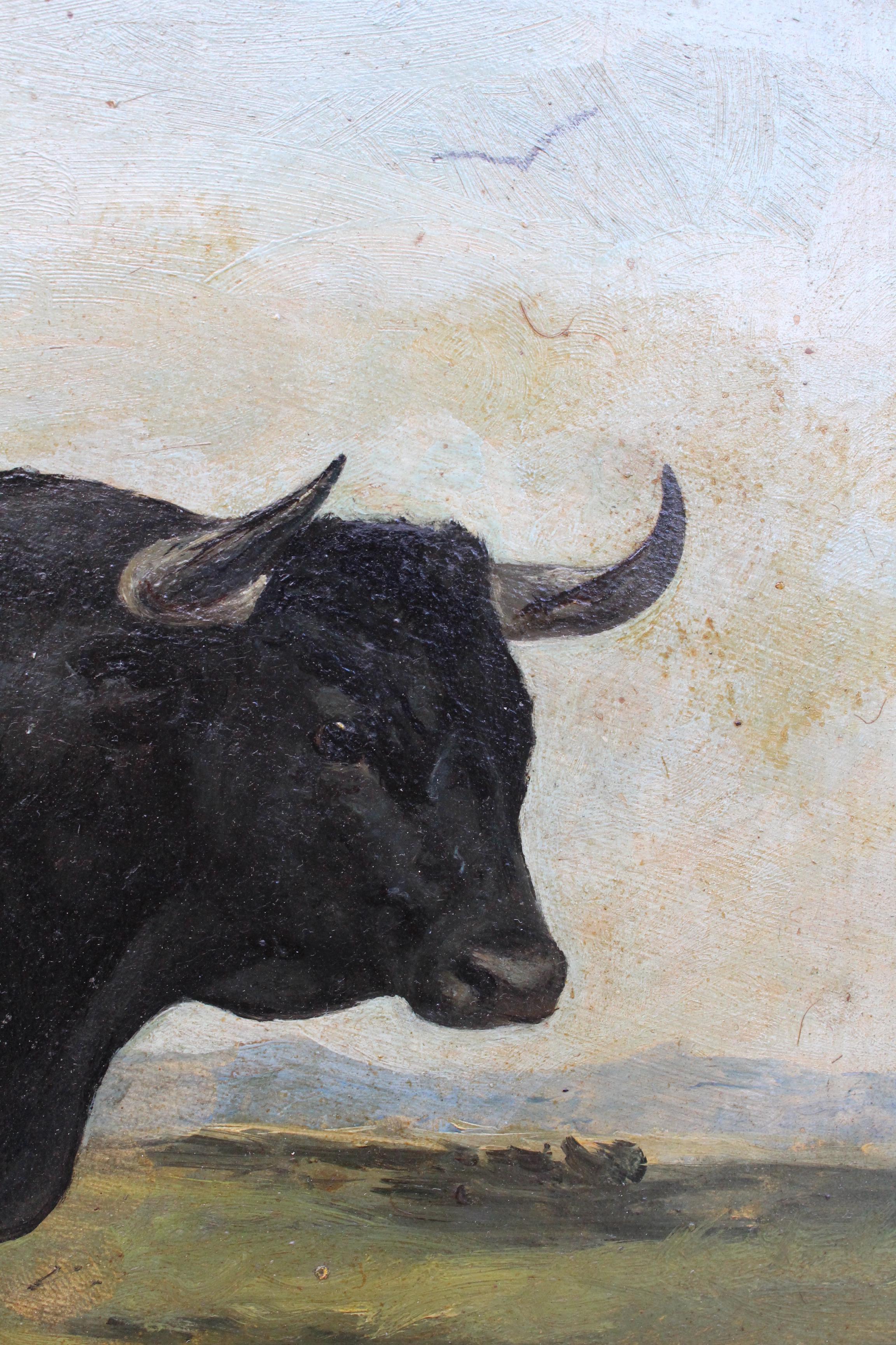 1883 Set of Three Oil on Canvas Bull Portraits by Luis Juliá Carrere 2