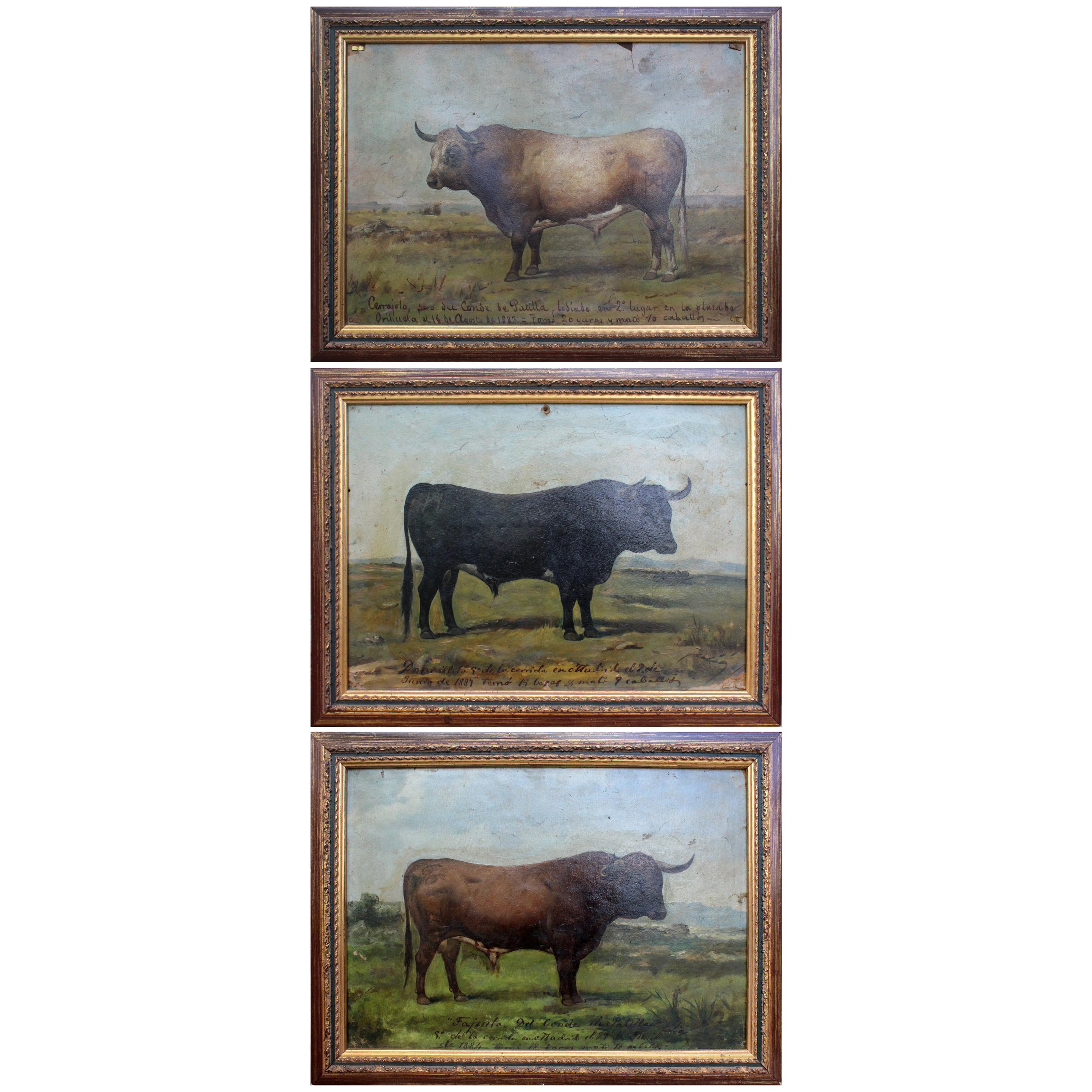 1883 Set of Three Oil on Canvas Bull Portraits by Luis Juliá Carrere