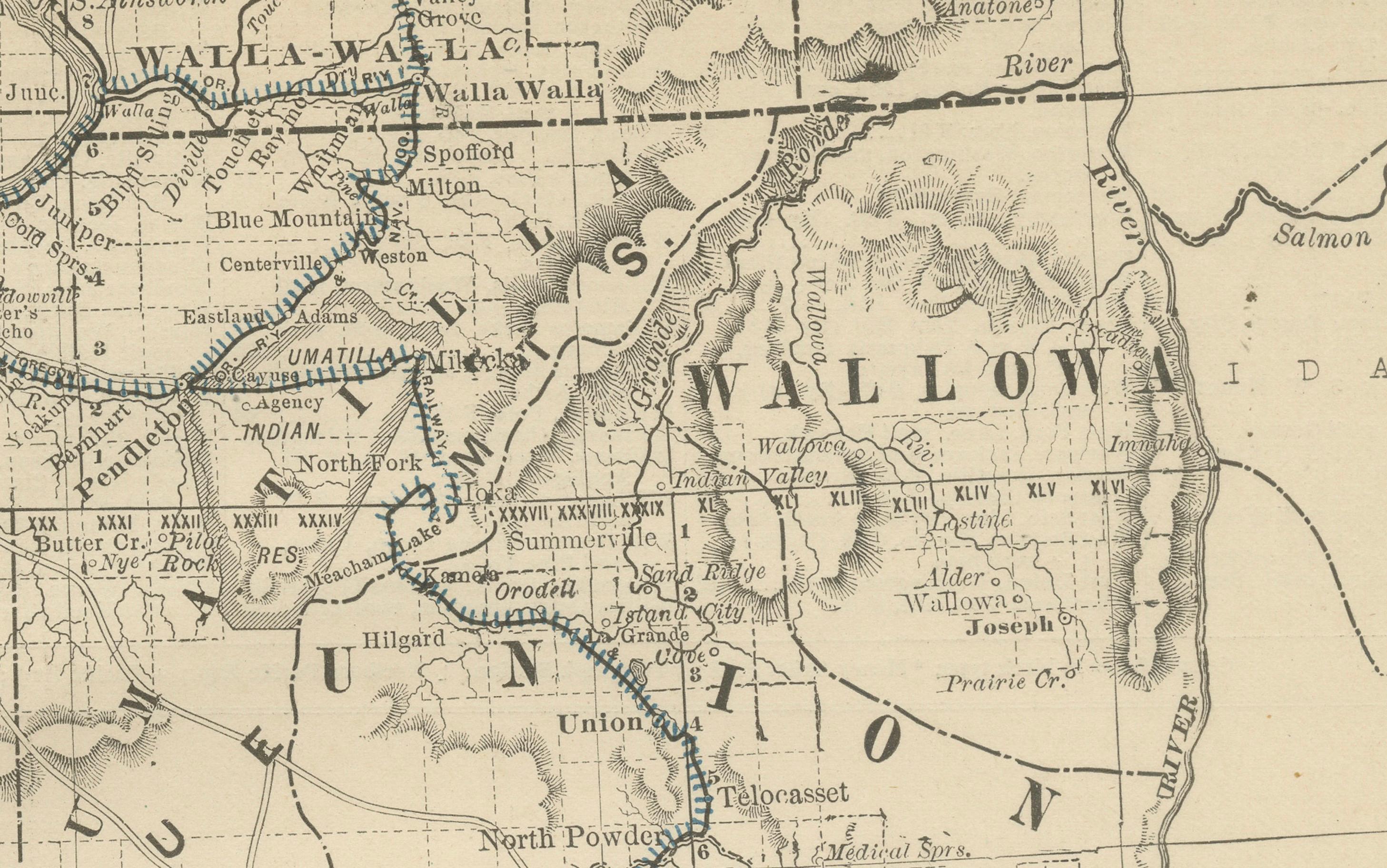 1888 Antique Map of Oregon – Railroads, Counties & Native Indian Reservations For Sale 1