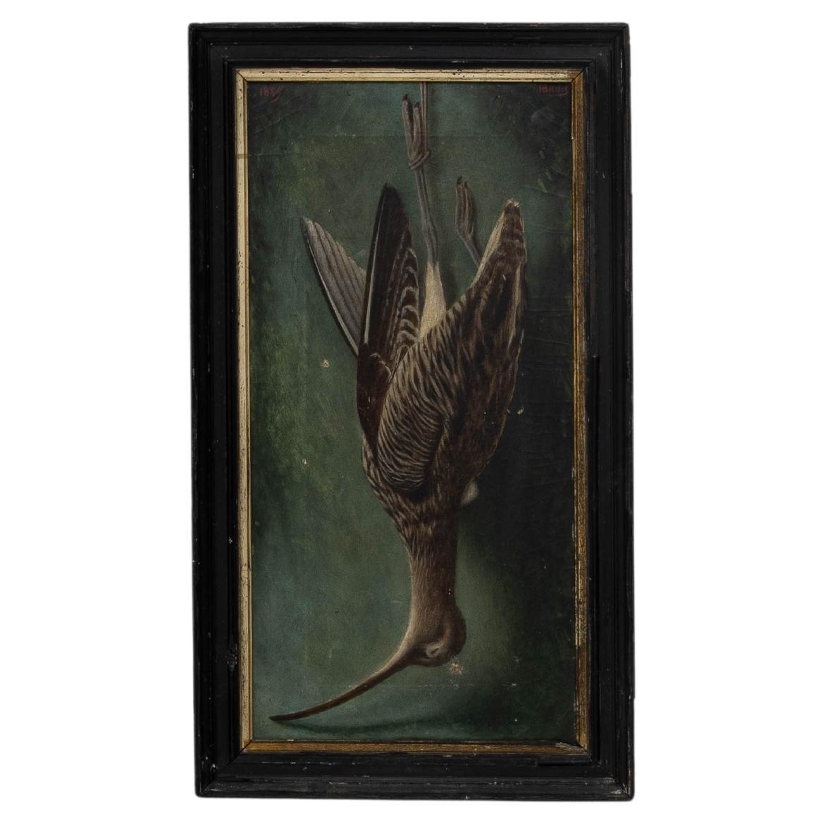 1889 Belgischer Großer Brachvogel Gemälde mit Holzrahmen