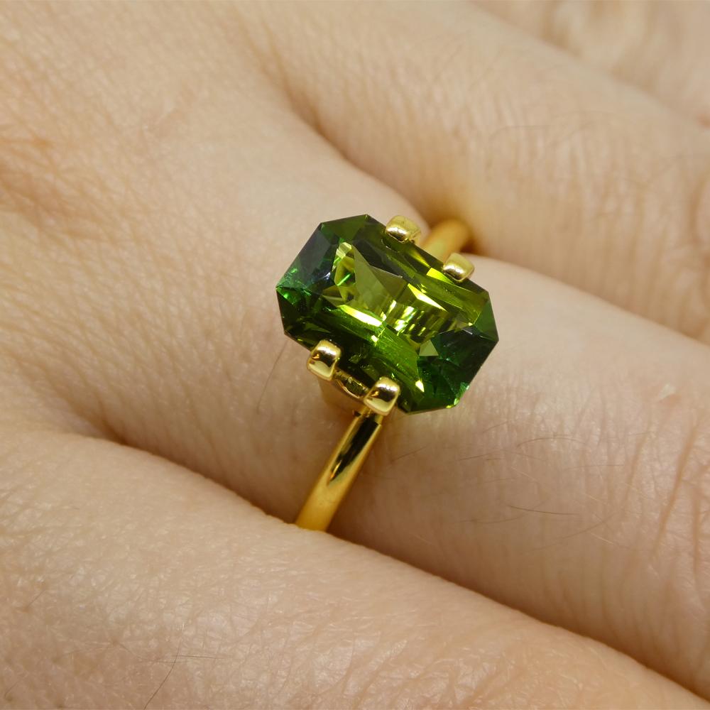 Description :

Type de gemme : Tourmaline
Nombre de pierres : 1
Poids : 1,88 cts
Dimensions : 9,44 x 6,52 x 4,19 mm
Forme : Octogonale
Style de coupe : Coupe brillante modifiée
Couronne de style de coupe :
Pavillon de style de coupe :
La
